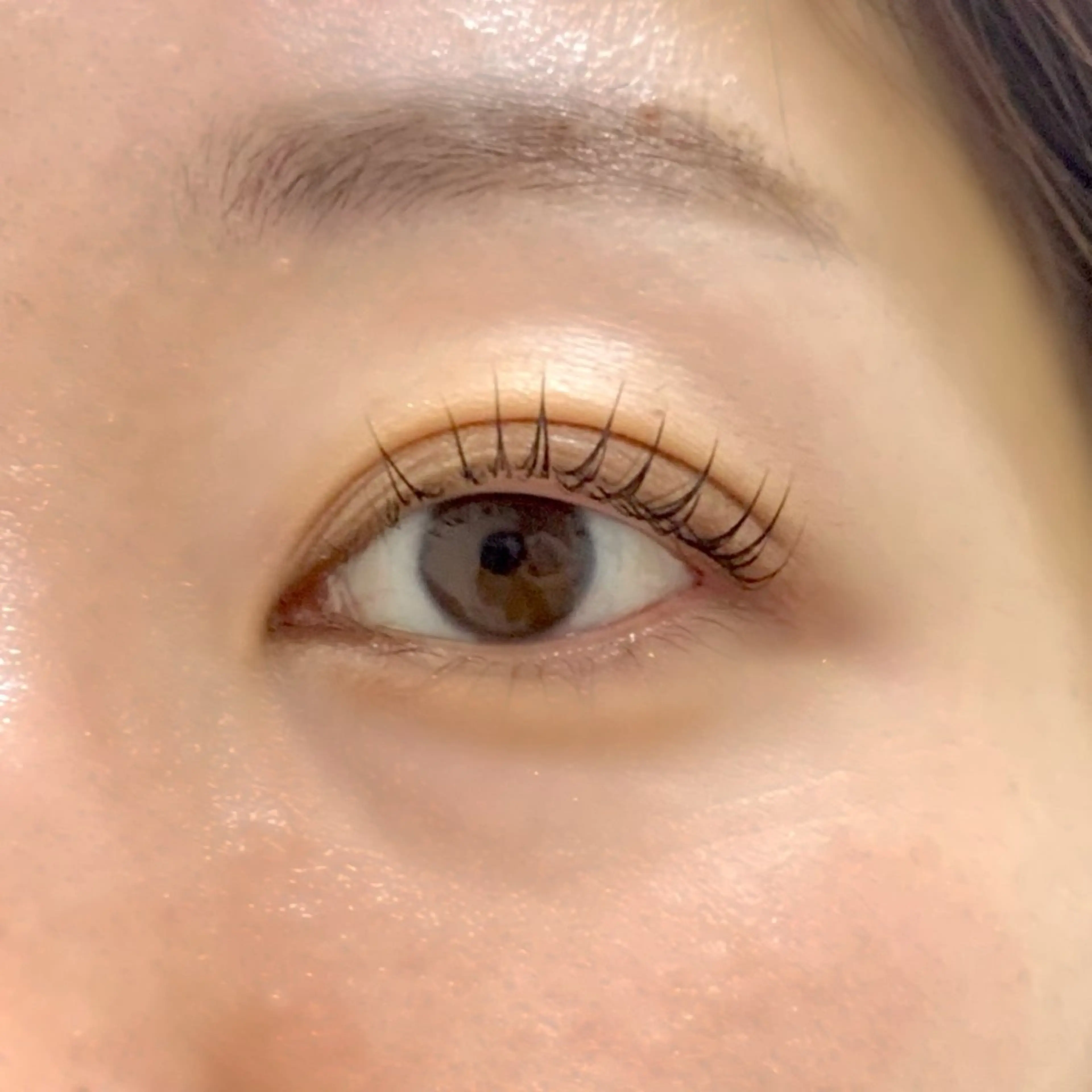 マツエク・マツパ パリジェンヌラッシュリフト 🌸Alba🌸 勅使川原のマツエク・マツパデザイン