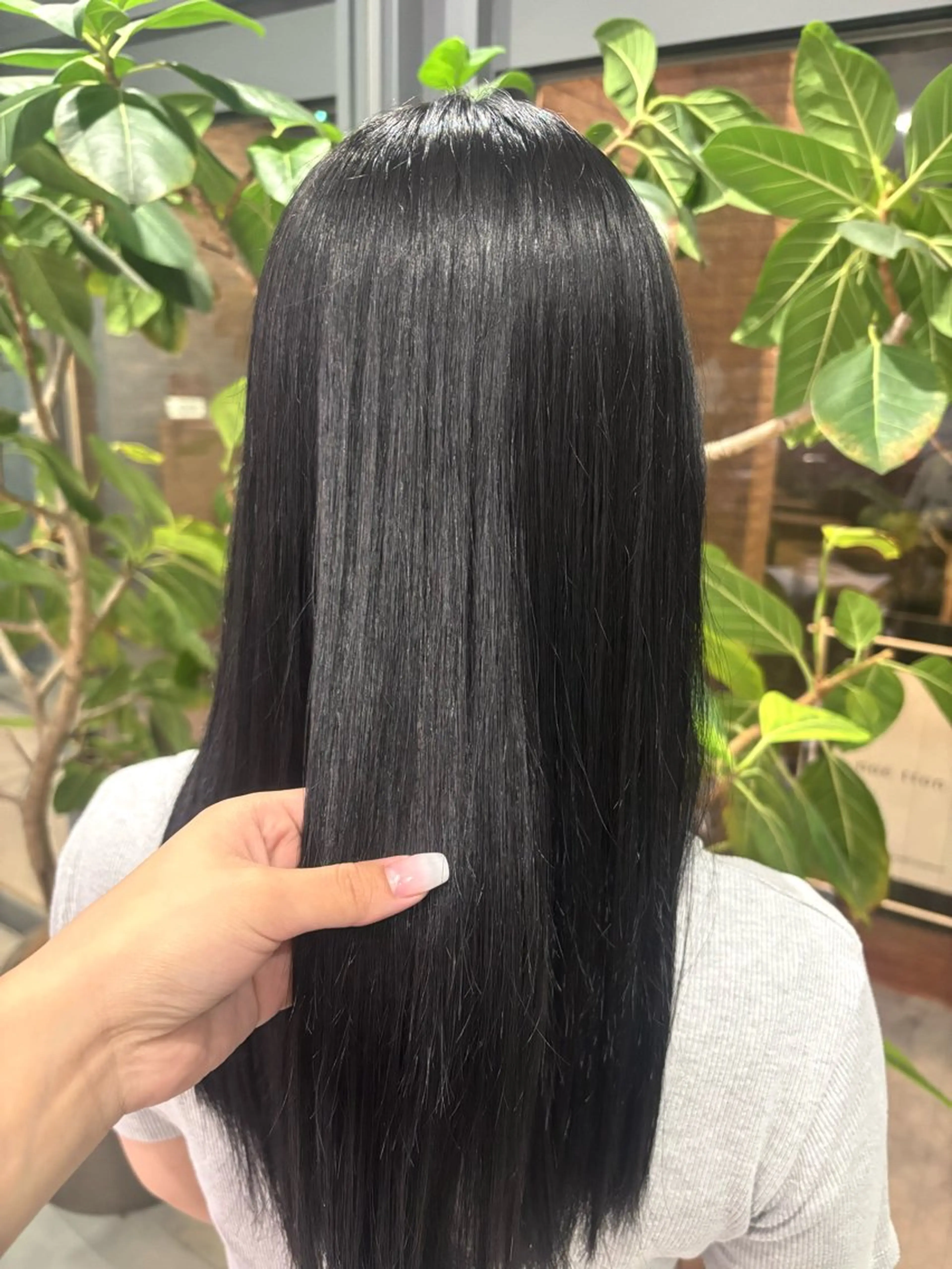 ロング カラー ヘアカラー 🐈‍⬛JUMI /透明感カラー/🩶のヘアスタイル