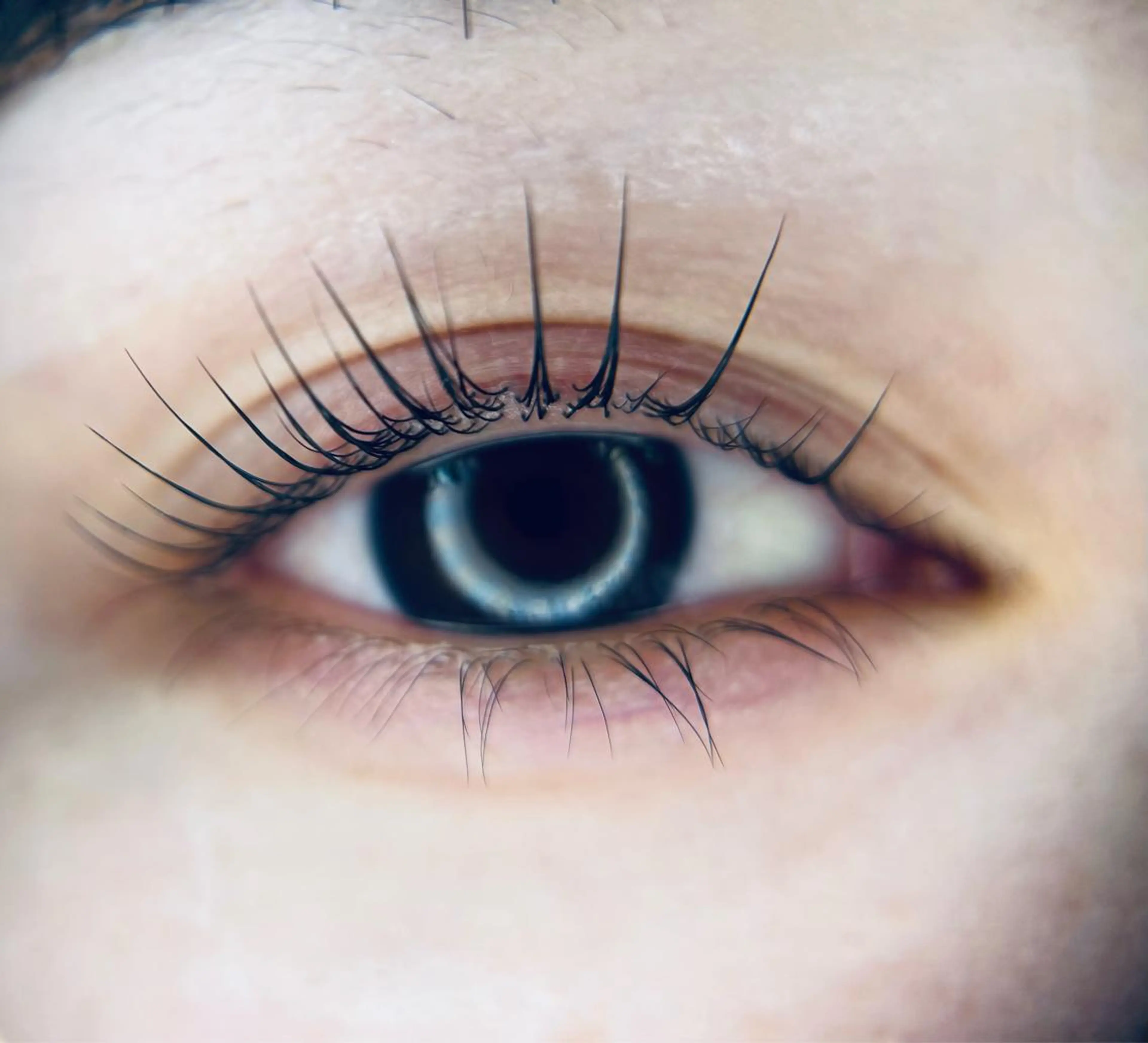 マツエク・マツパ マツパ －Ojiー セナのマツエク・マツパデザイン