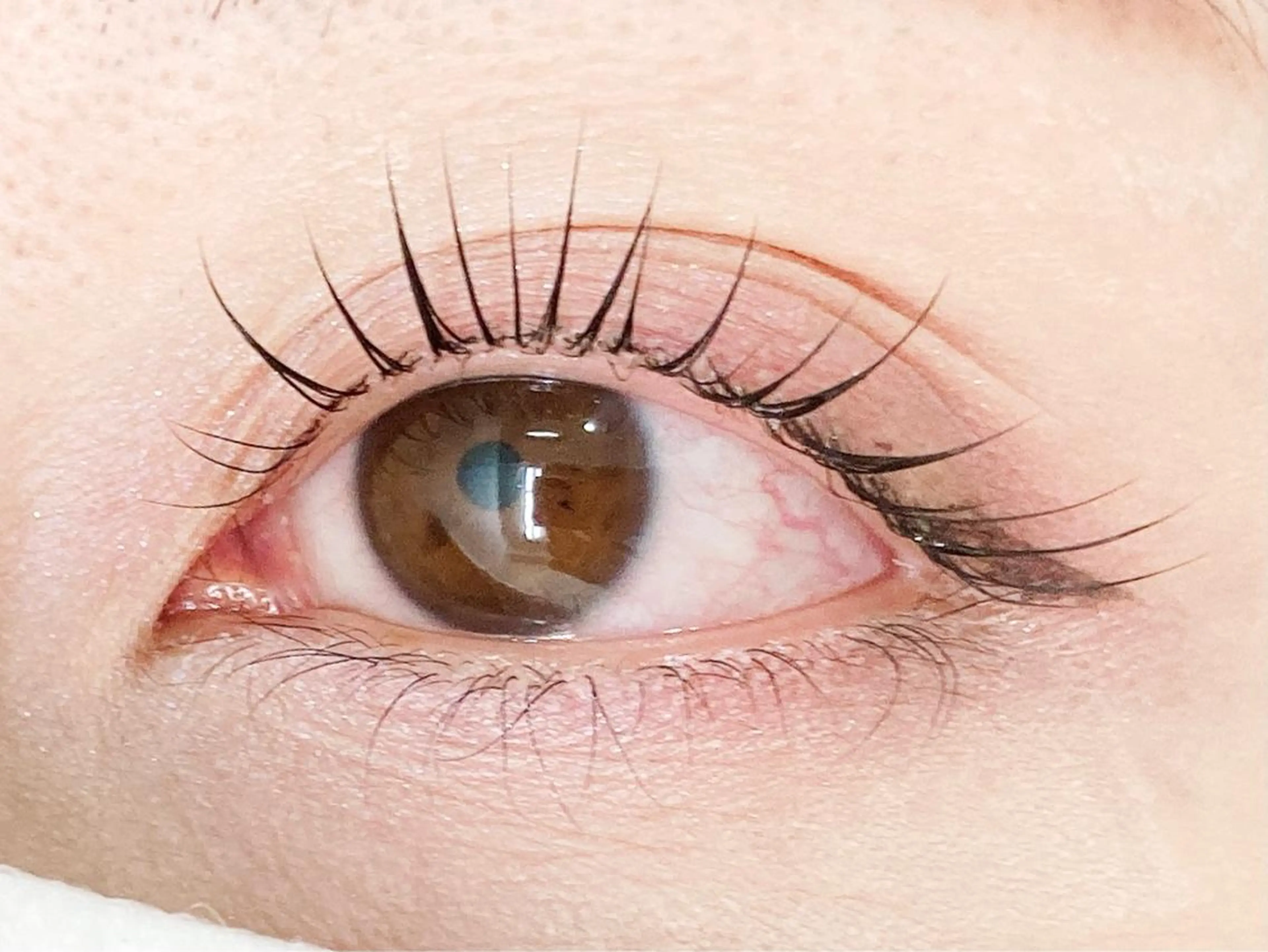 マツエク・マツパ アマビリス amabilisのマツエク・マツパデザイン