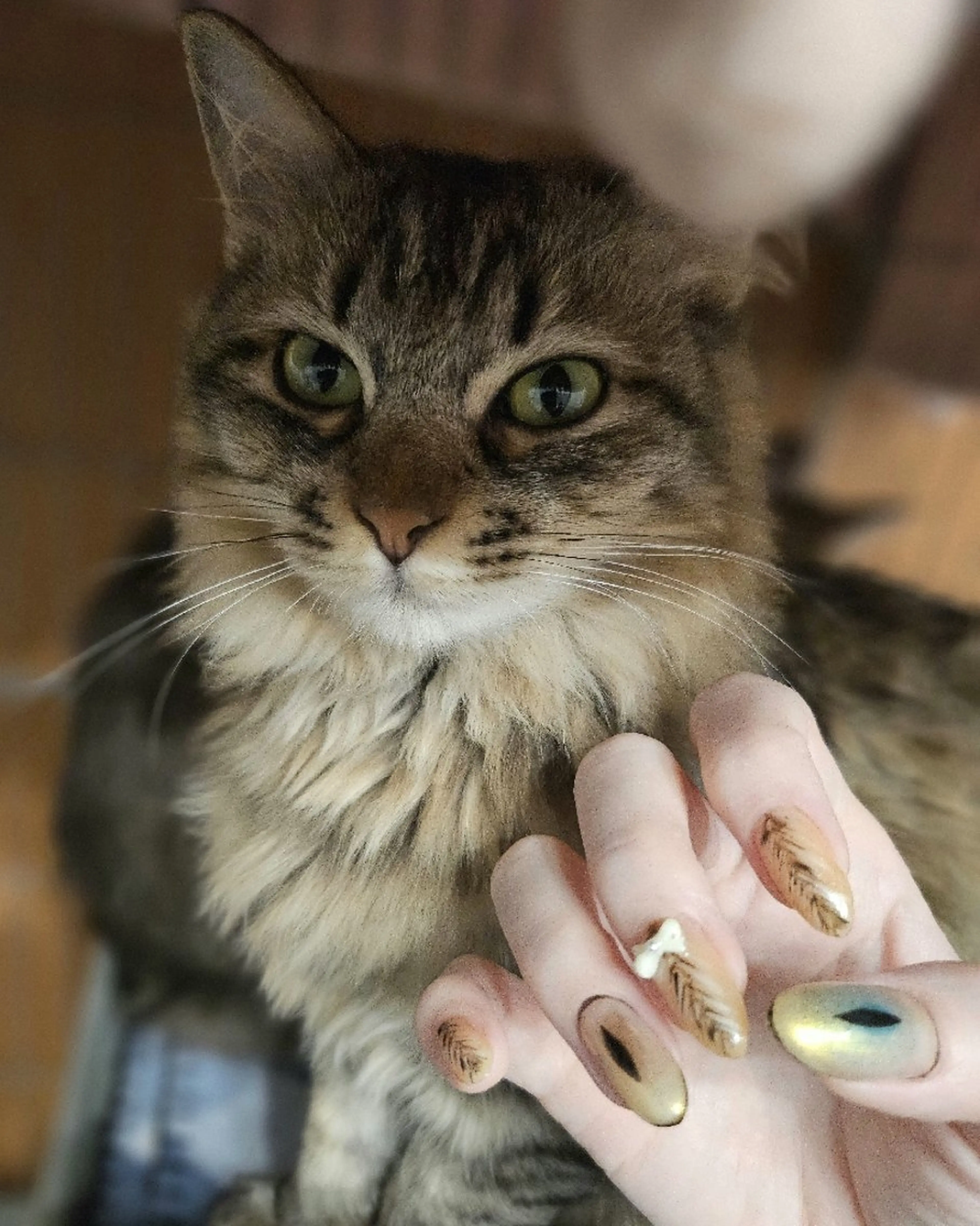 ネイル Bijou. 【junjun.】のネイルデザイン