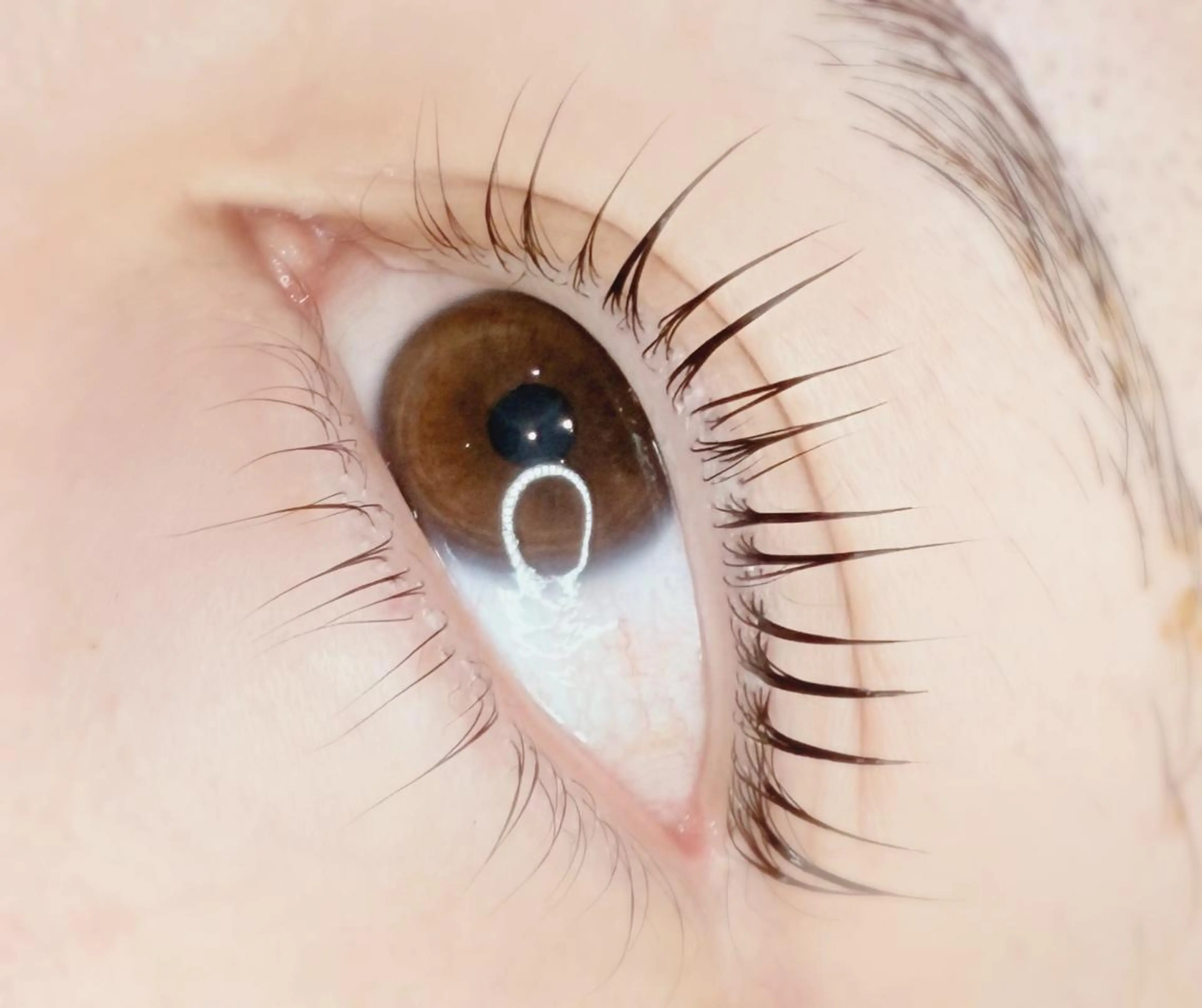 まつ毛パーマ/パリジェンヌラッシュリフトの写真