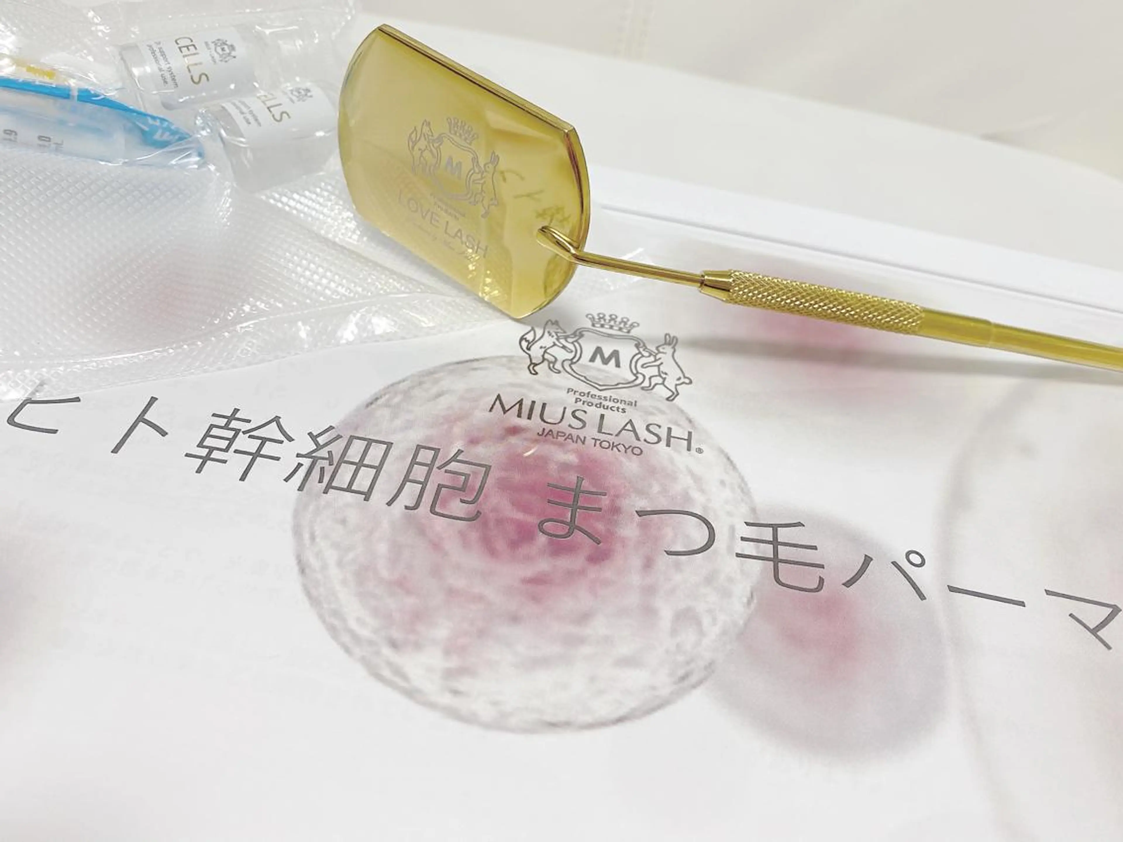 パーマ マツエク・マツパ 一重×まつ毛パーマ 髪質改善 Anela 博多/春吉のマツエク・マツパデザイン