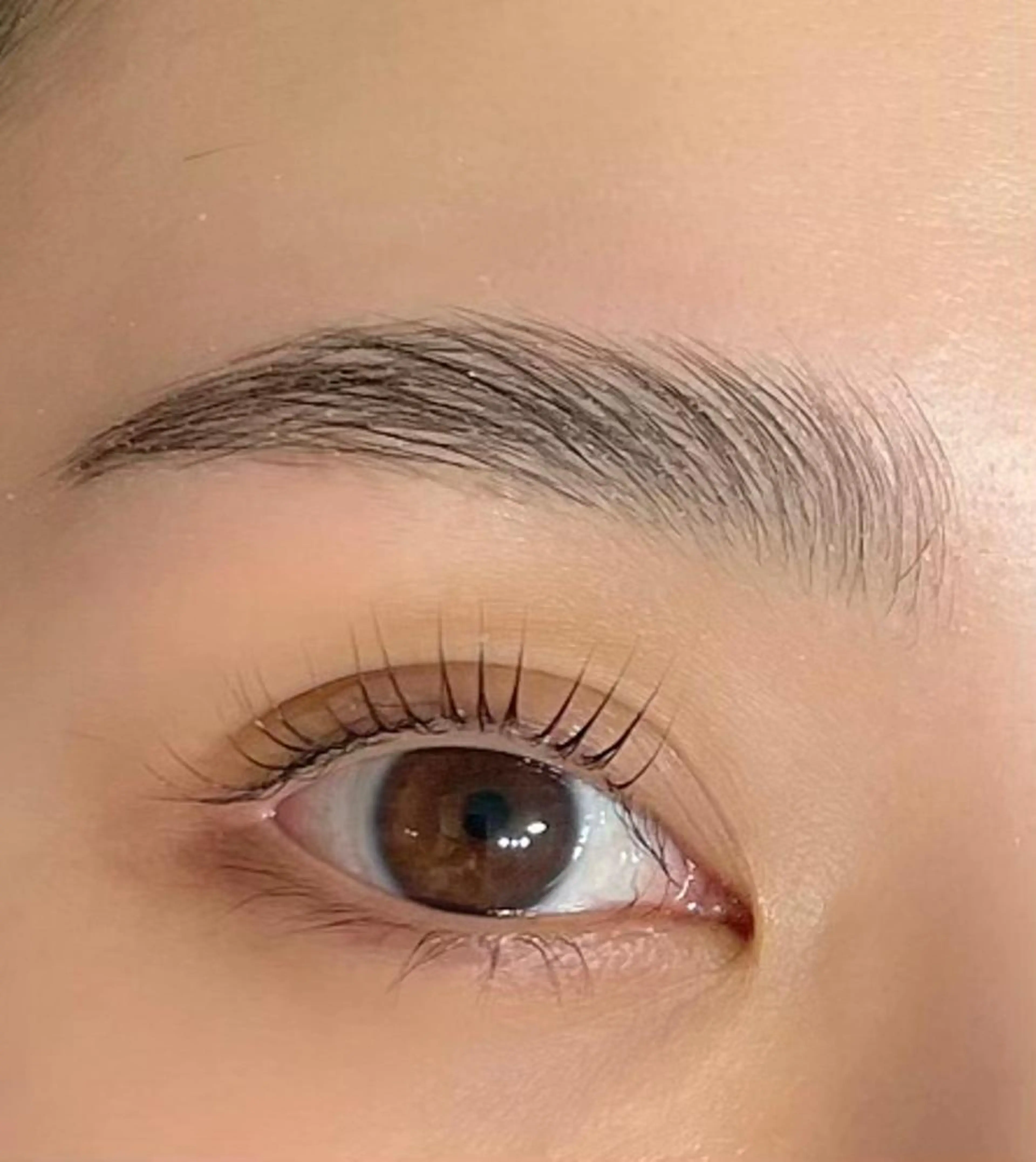 ハリウッドブロウリフト"+眉毛Wax(メイク込)の写真