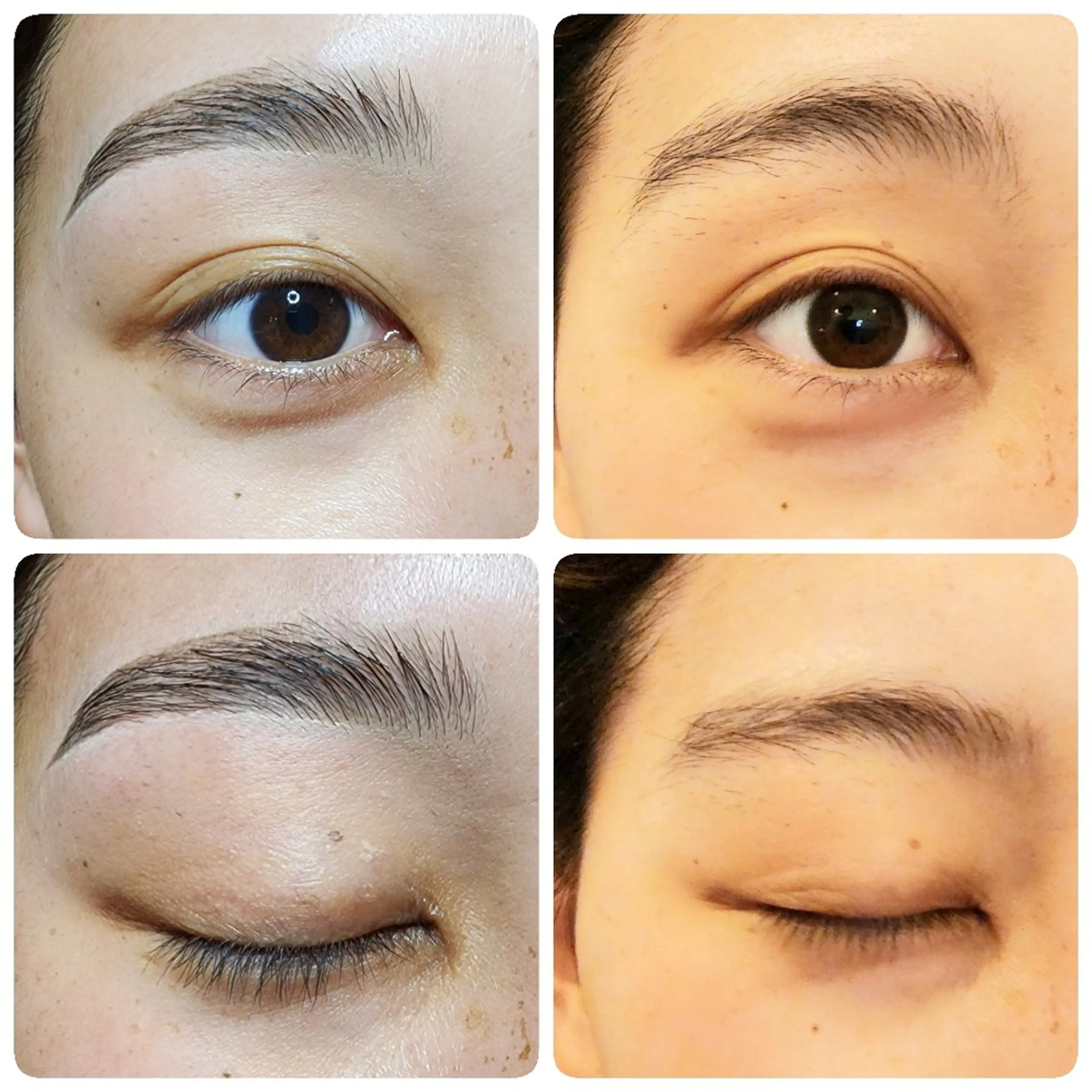 アイブロウ ワックス脱毛 眉カット その他(アイブロウ) ESTELA... OHARA のヘアスタイル