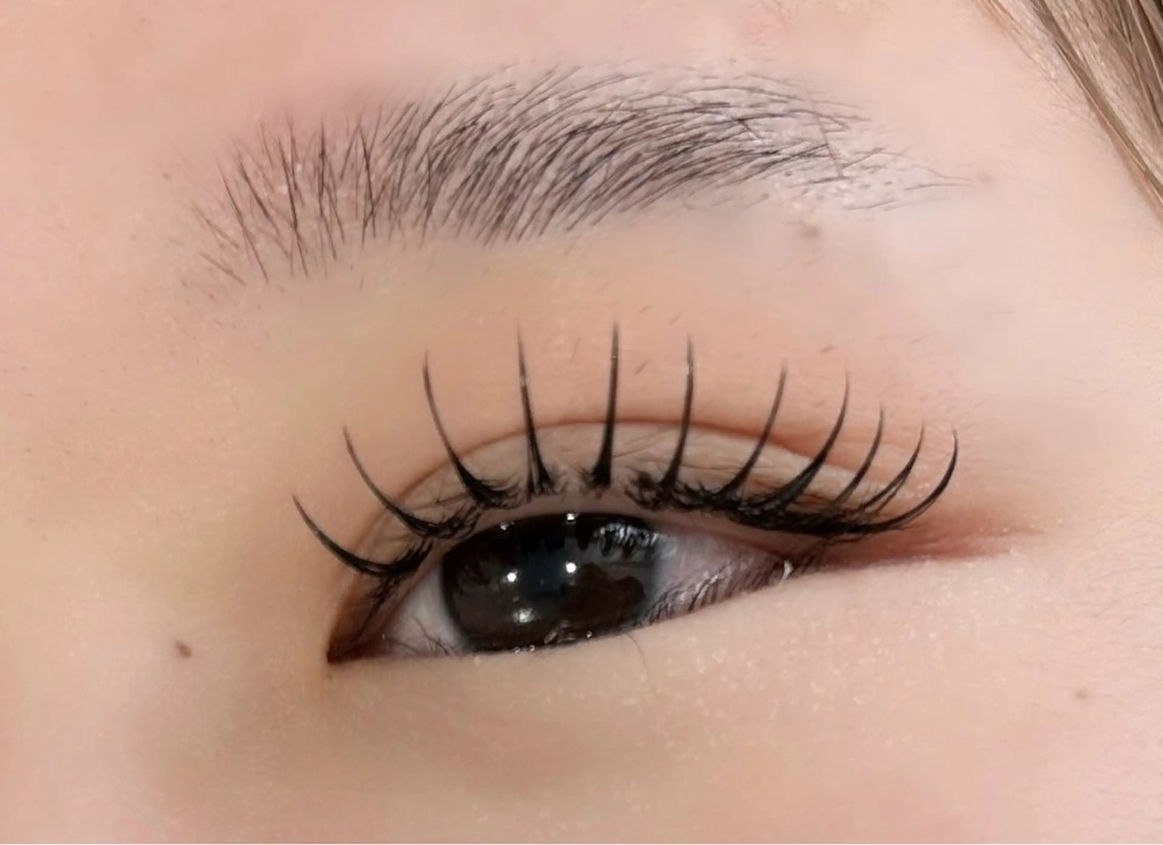 マツエク・マツパ マツエク THE  LASH MOMOKOのマツエク・マツパデザイン