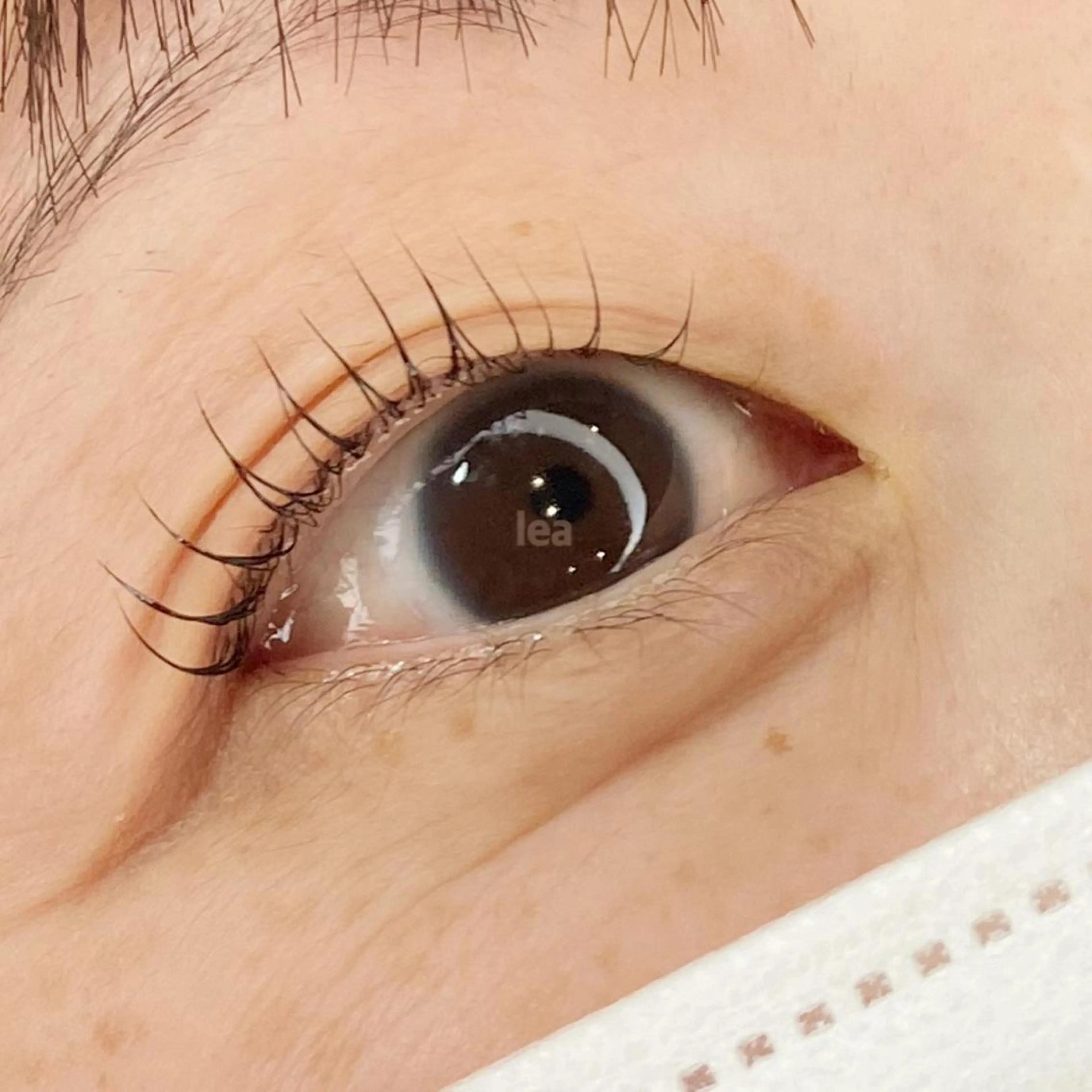 マツエク・マツパ eyelash leaのマツエク・マツパデザイン