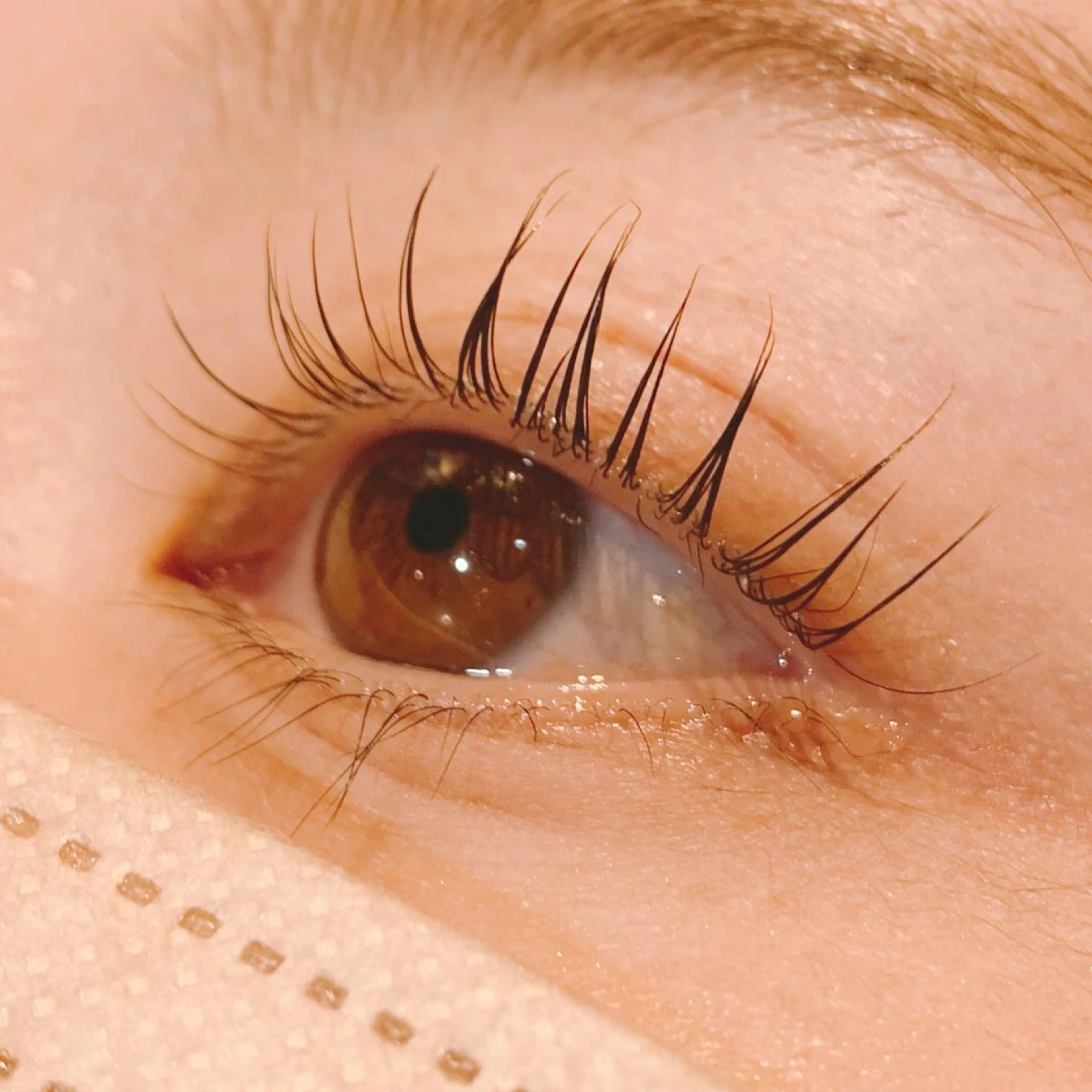 マツエク・マツパ パリジェンヌラッシュリフト alushe🌼 HIME🌼のマツエク・マツパデザイン