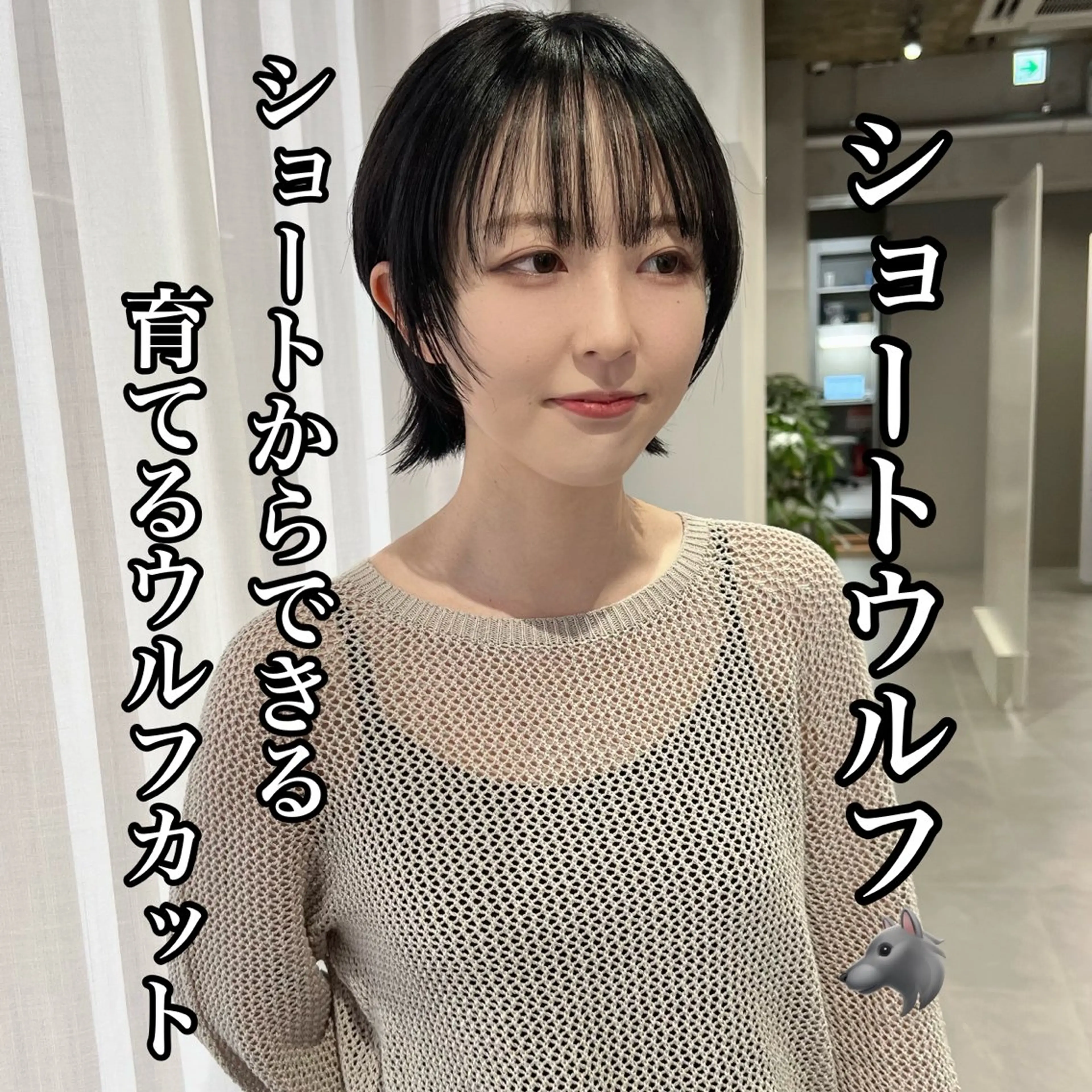 ショート 🐺立川のウルフ屋 さん🐺おかみ🐺のヘアスタイル