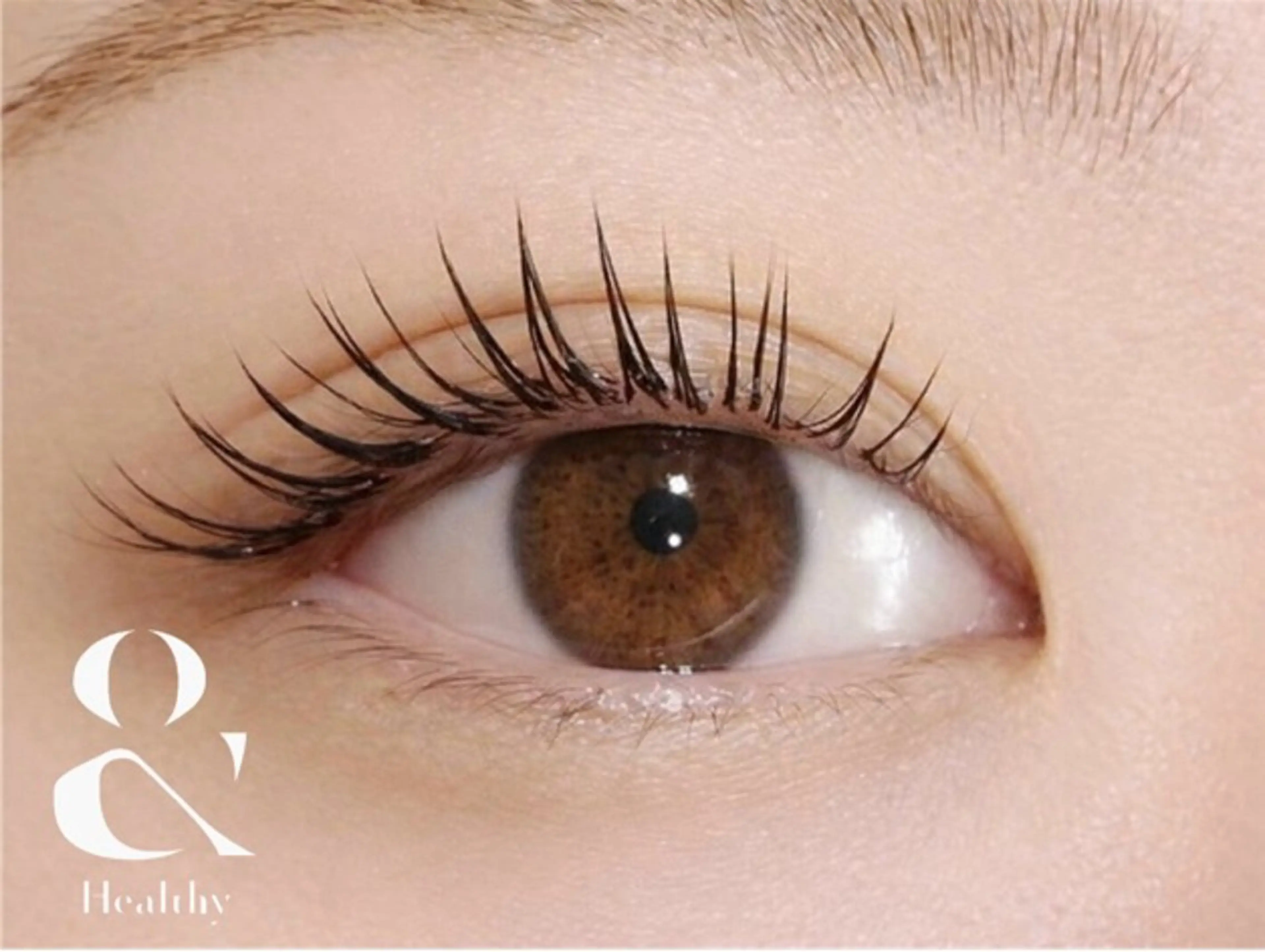 アンドヘルシー︎ ✧LED フラットラッシュ120本の写真