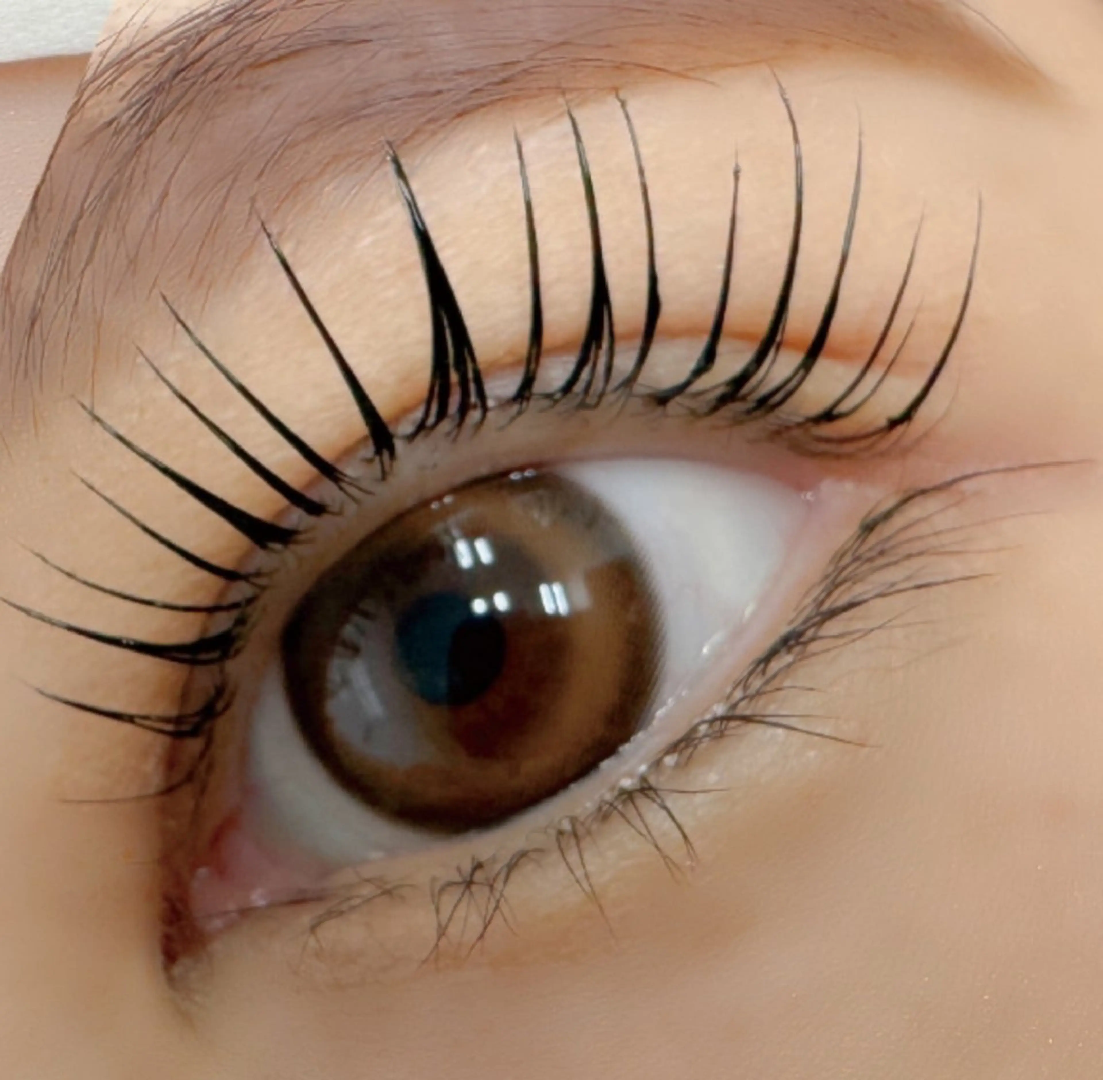 40％off【韓国🇰🇷で大人気✨】マスカラパーマの写真