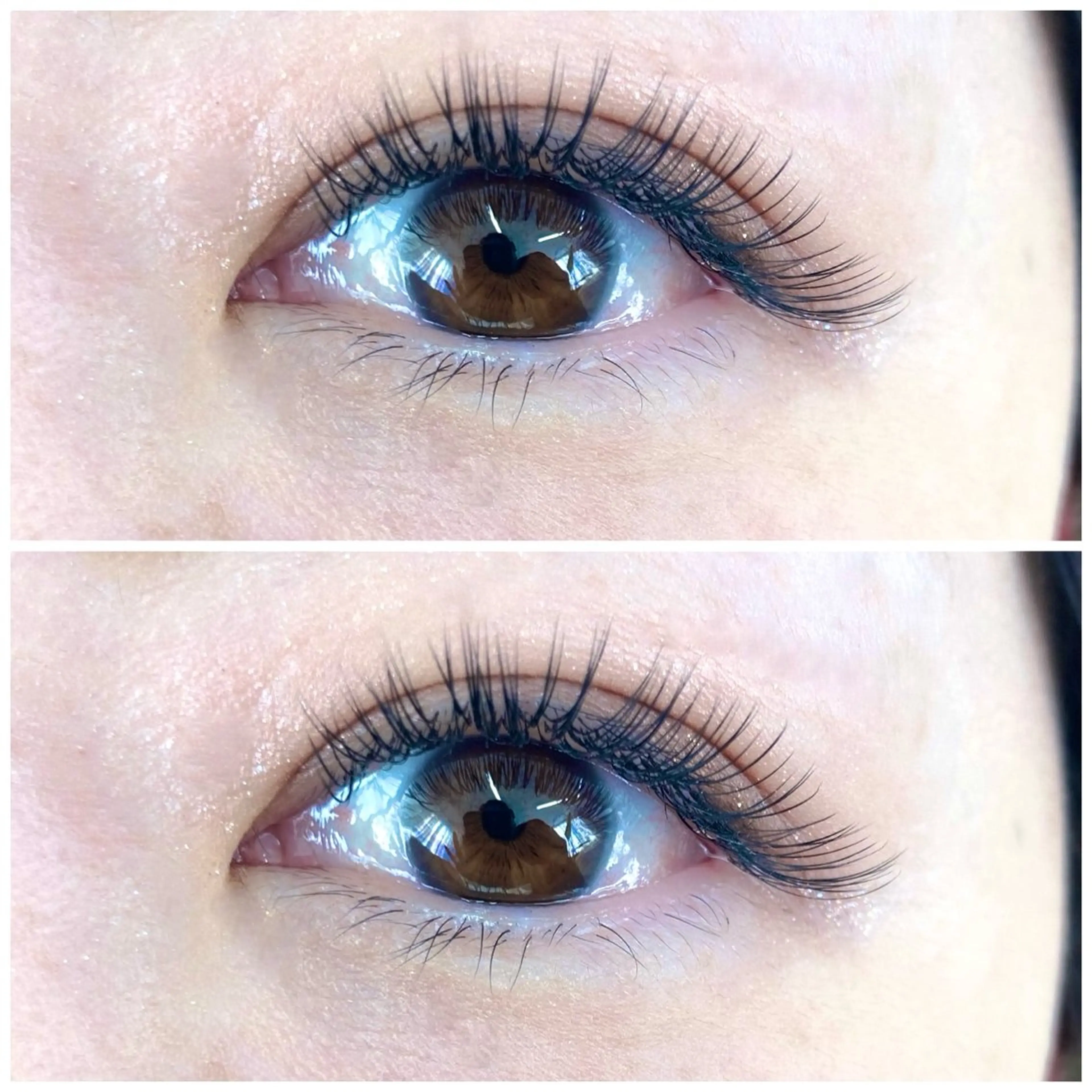 バインドロック80束🌹［亀戸／錦糸町］の写真