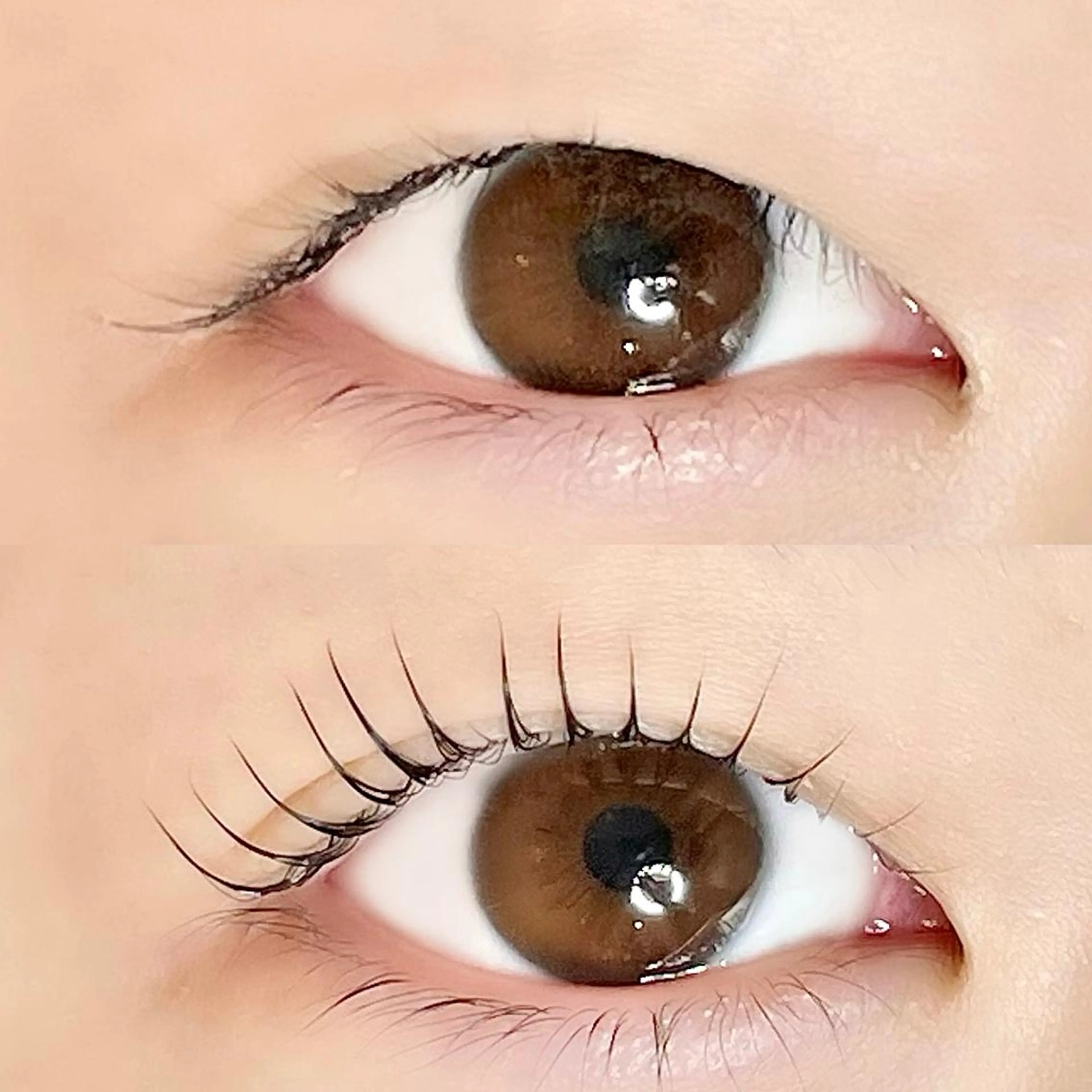 マツエク・マツパ マツパ AYLASH🧡 猪又のマツエク・マツパデザイン