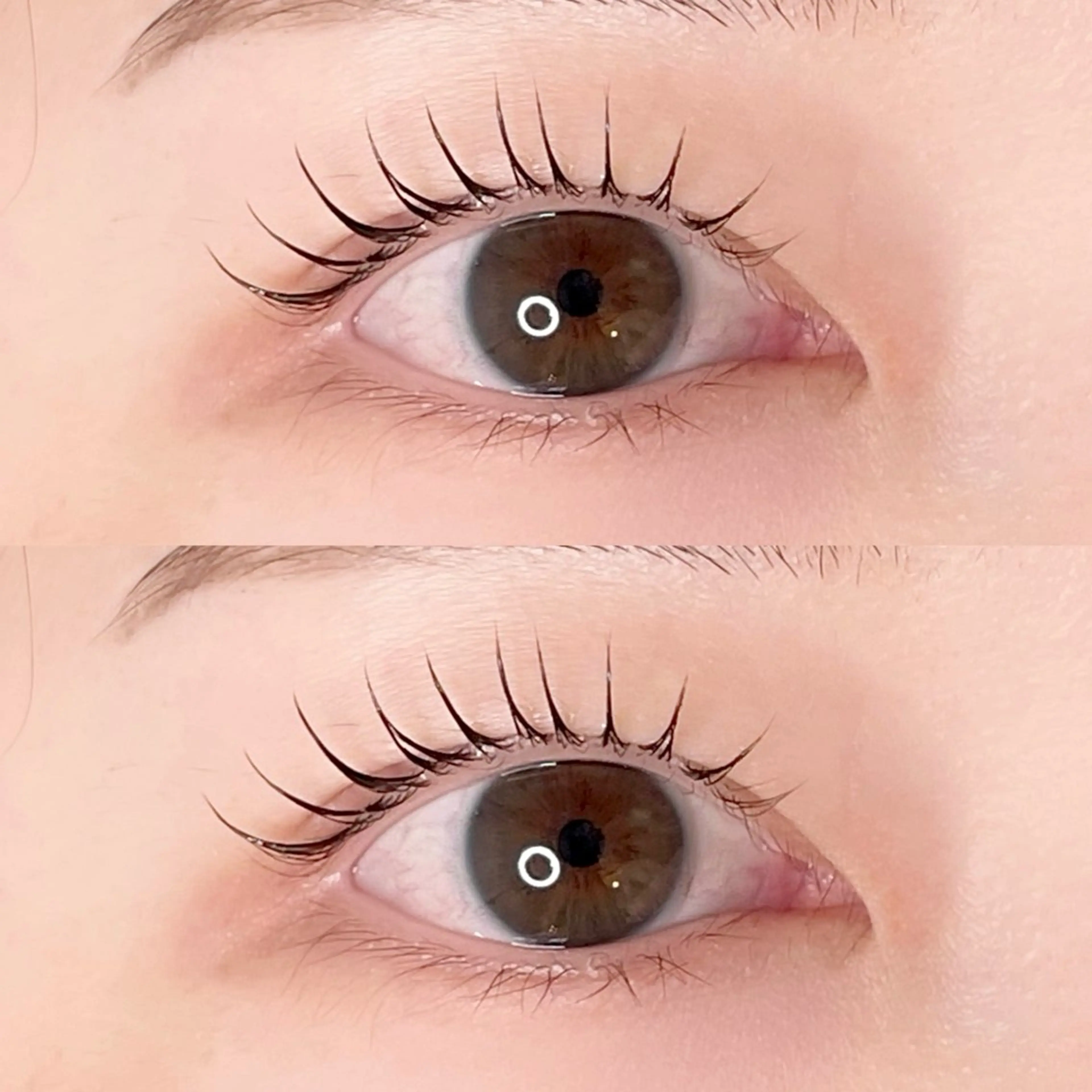 マツエク・マツパ M.Kayama 【2/1〜産休】のマツエク・マツパデザイン