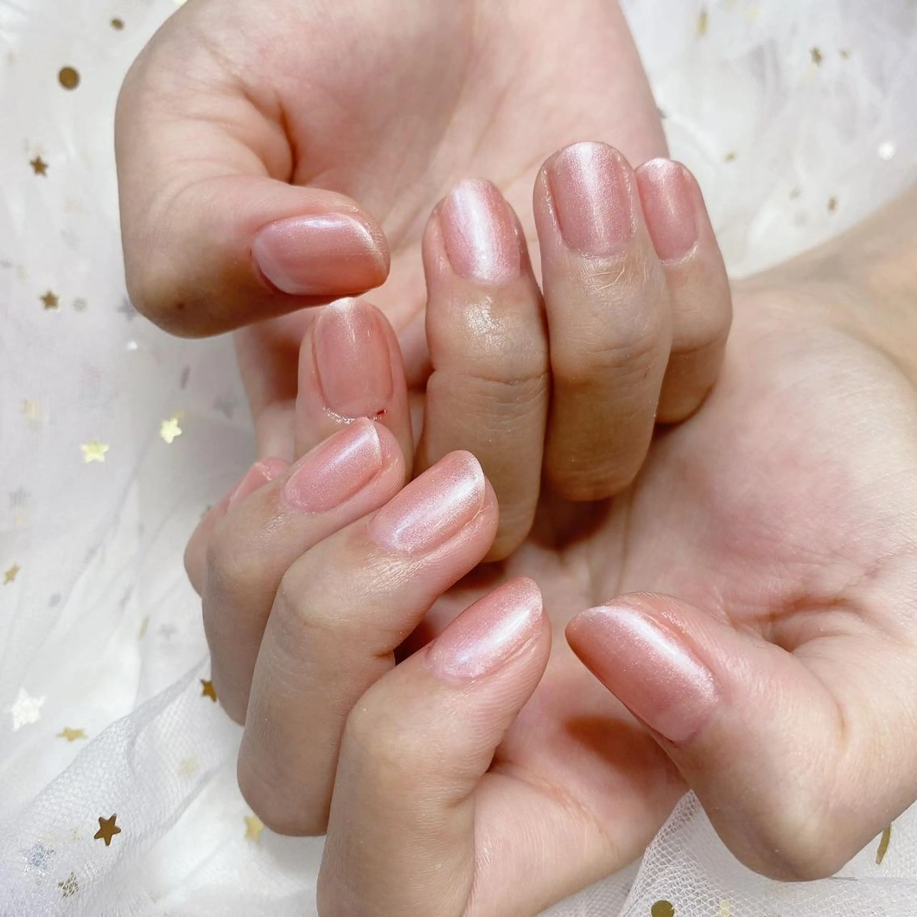 ネイル ジョリ En 💞🦋のネイルデザイン