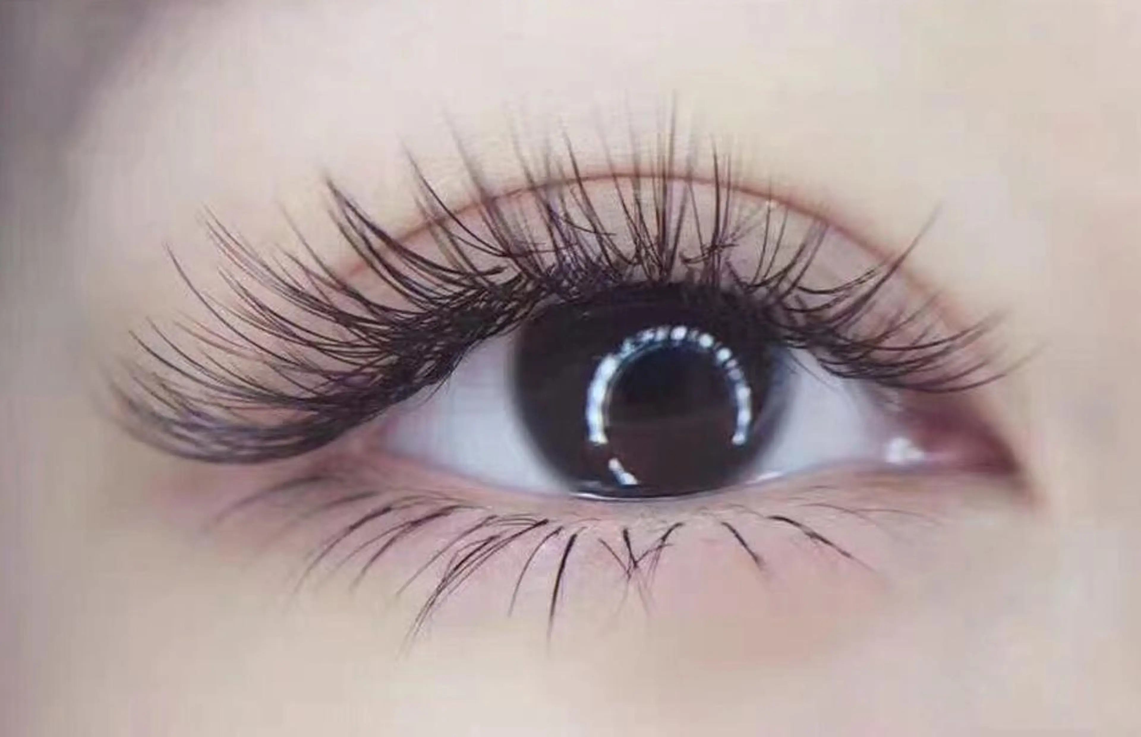 マツエク・マツパ Cute beauty2のマツエク・マツパデザイン