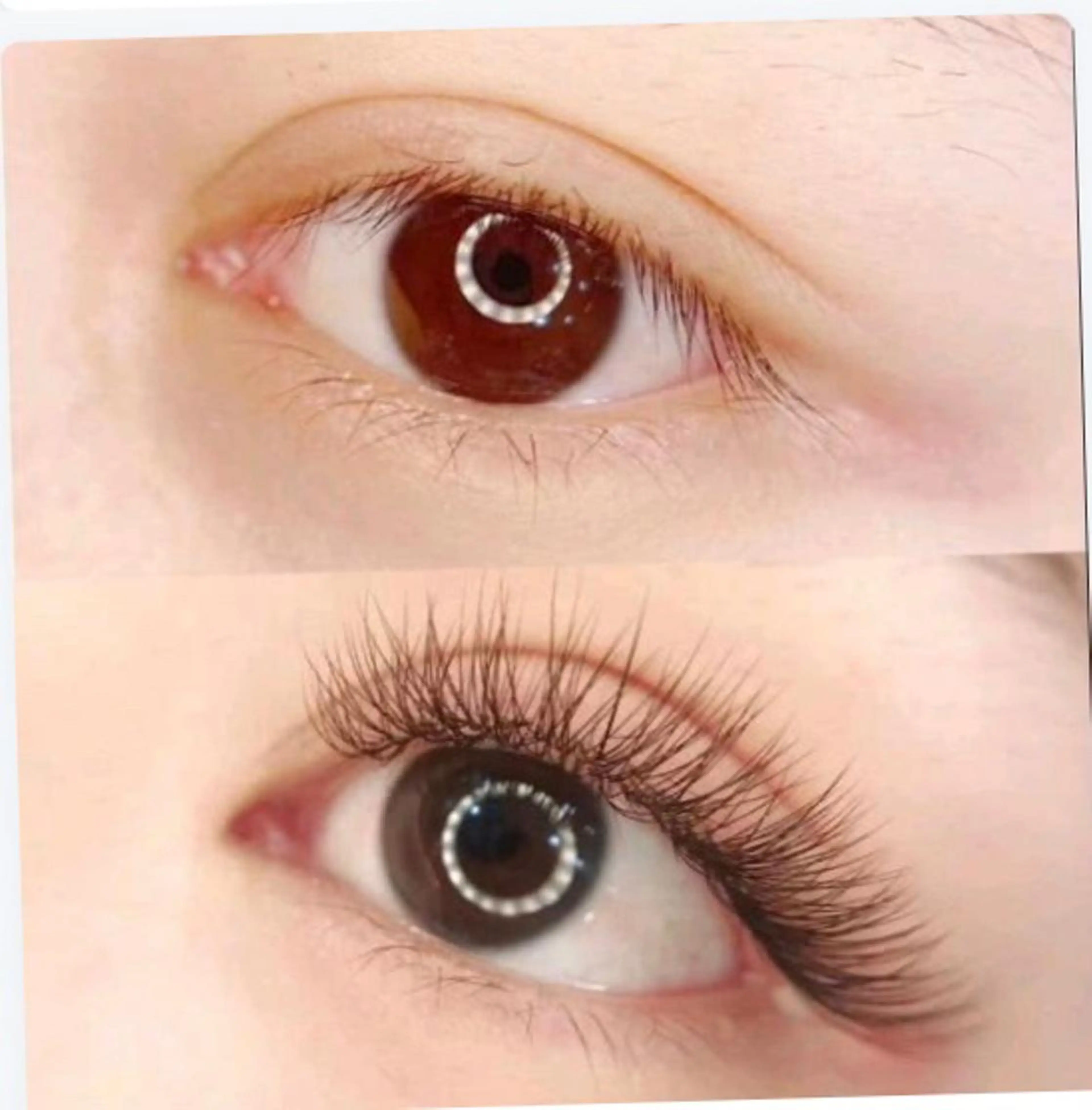 3D、4Dボリュームラッシュ300本～400本(100束) 新規様初回はオフ無料、二回目からオフ➕500円になりますの写真