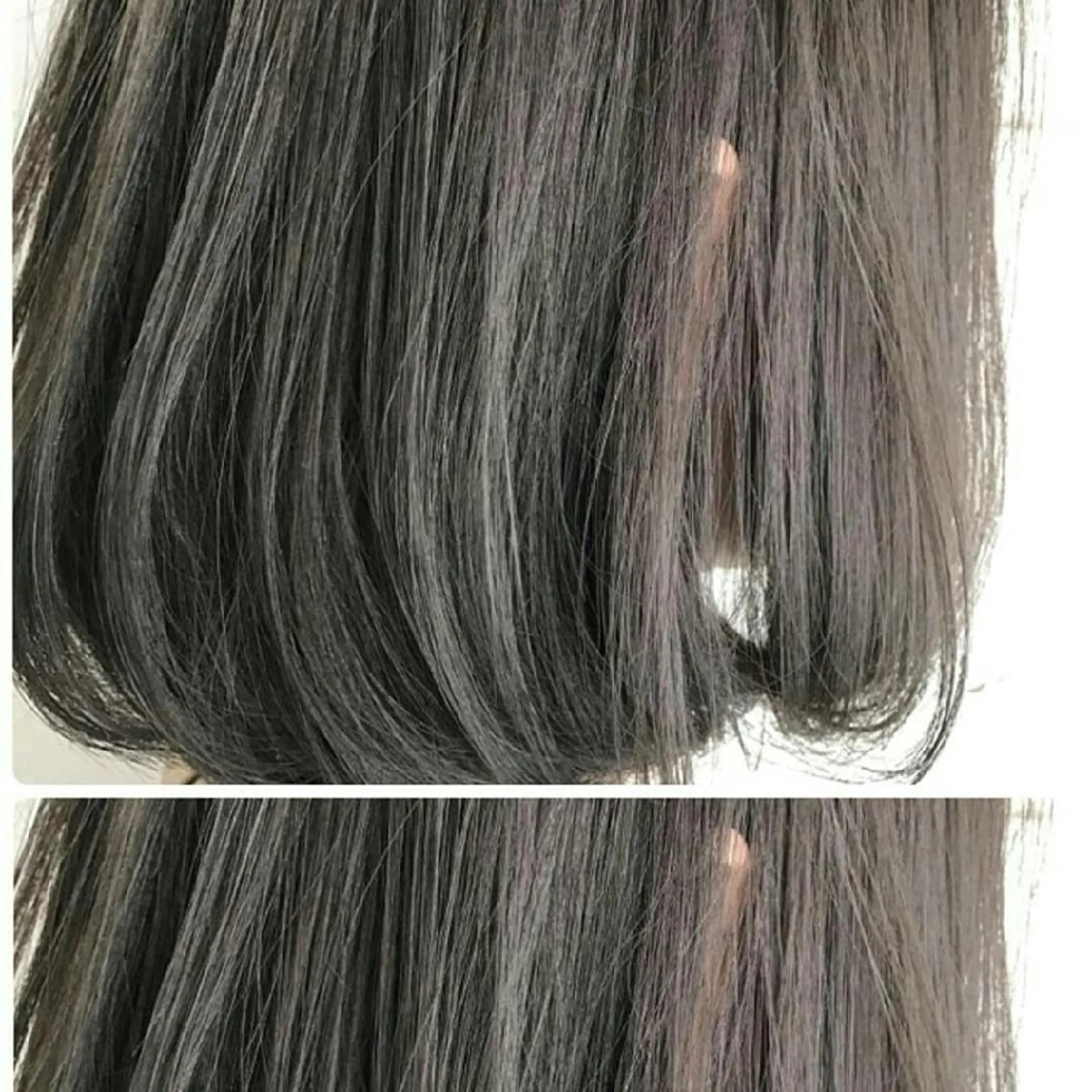 ショート カラー 白井 秀太郎のヘアスタイル