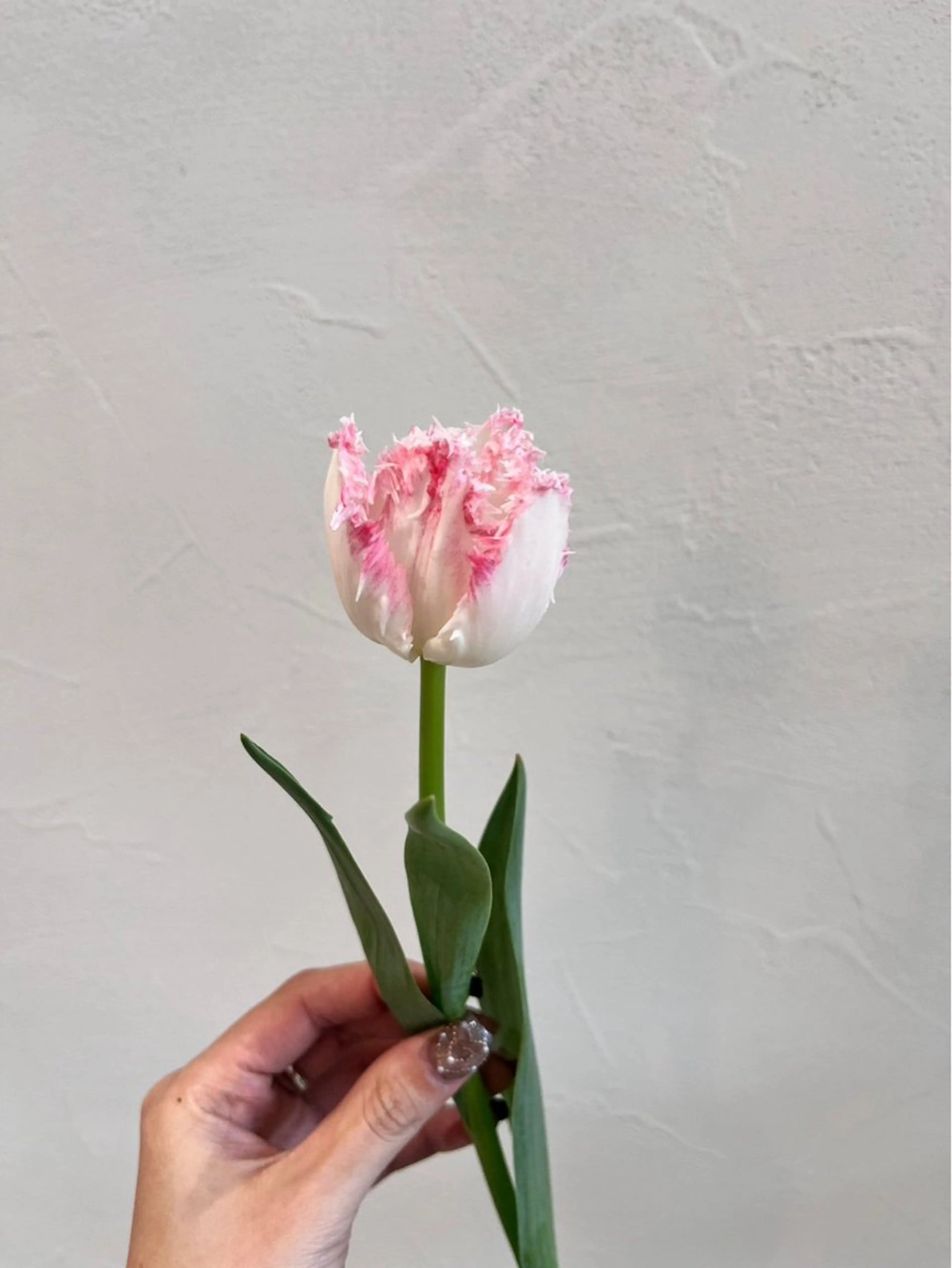 ポイントヘアアレンジ（10分​〜​15分）　暑い毎日におすすめ♪の写真