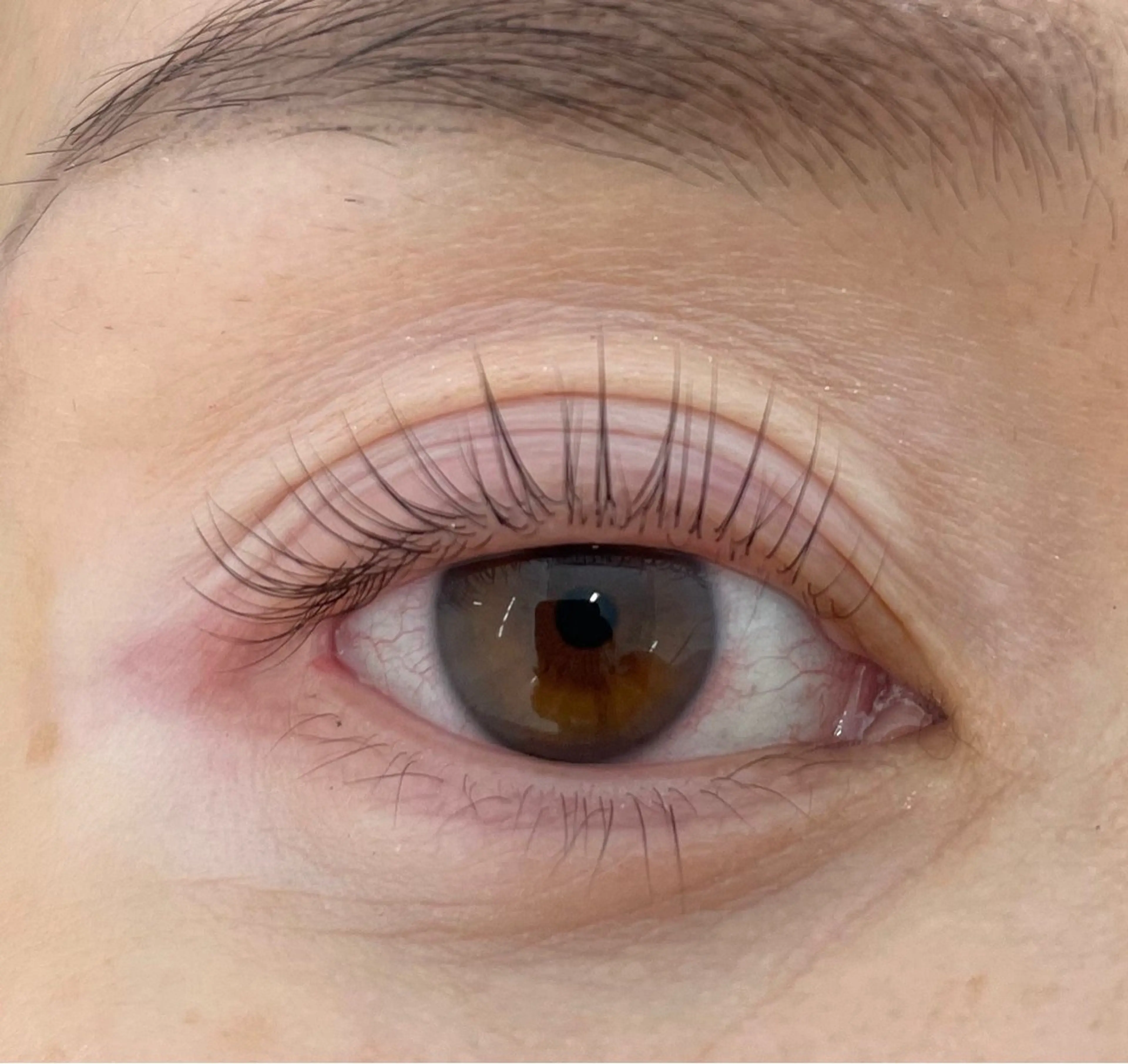 まつ毛パーマ!束感コーティング付の写真