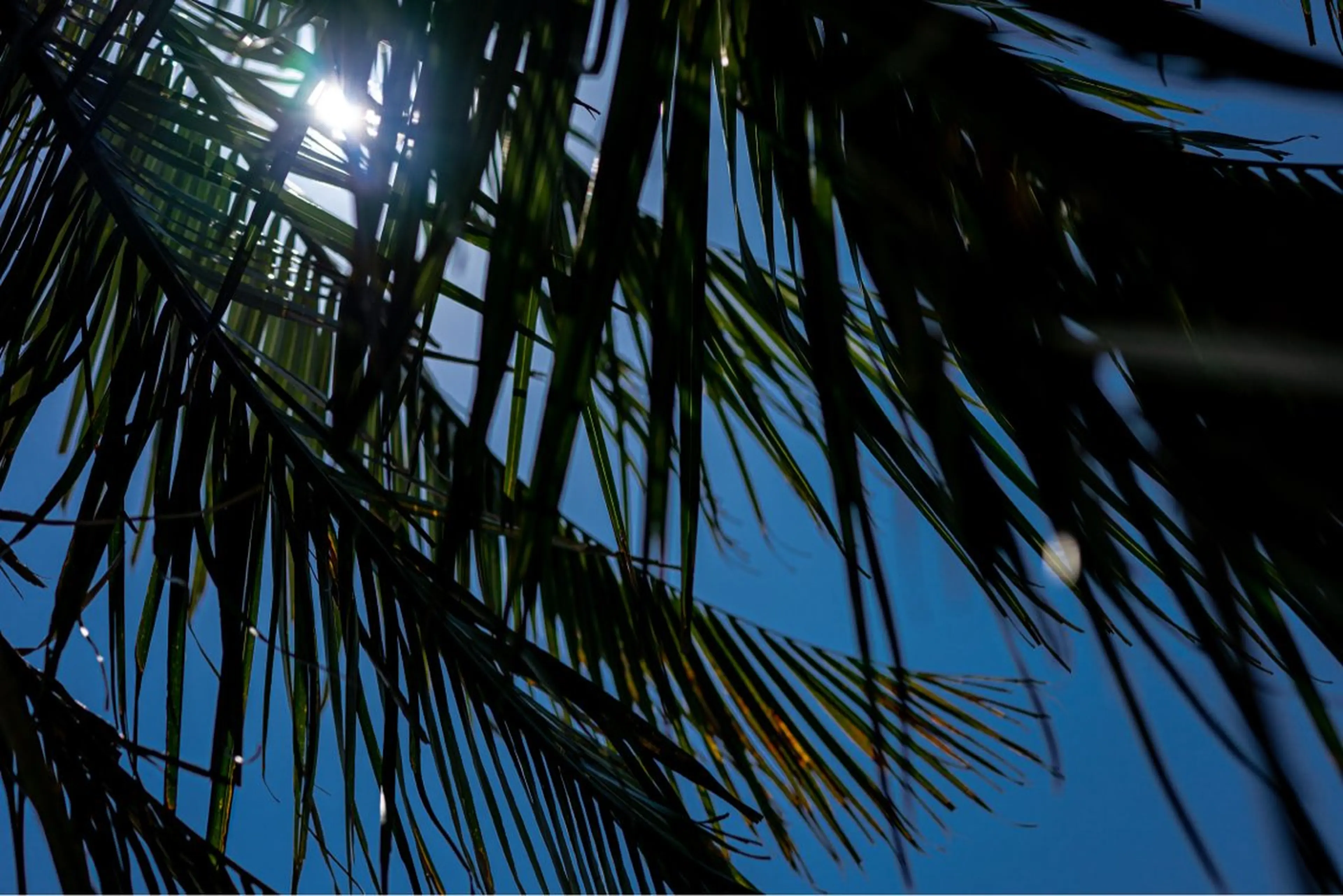 mai🤍透明感/ 縮毛矯正/藤沢のヘアスタイル