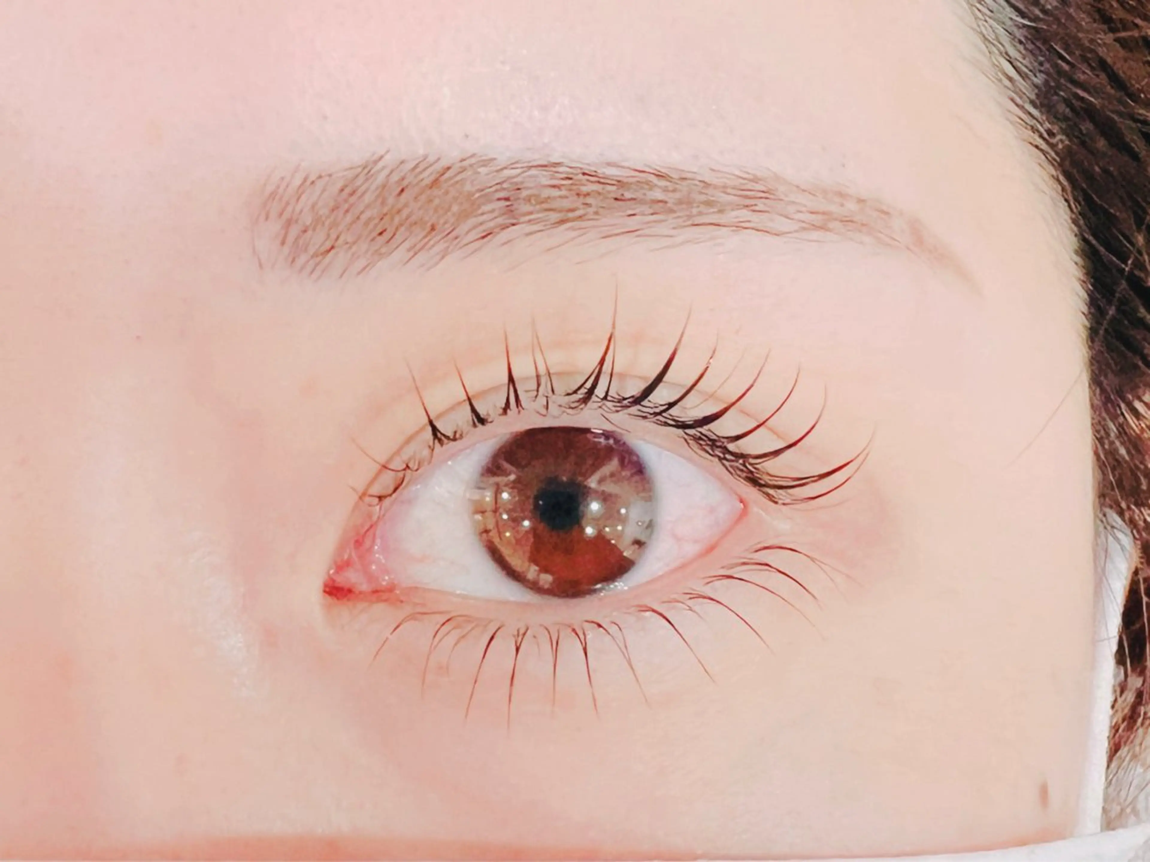 上下マツパ(ケアあり)の写真