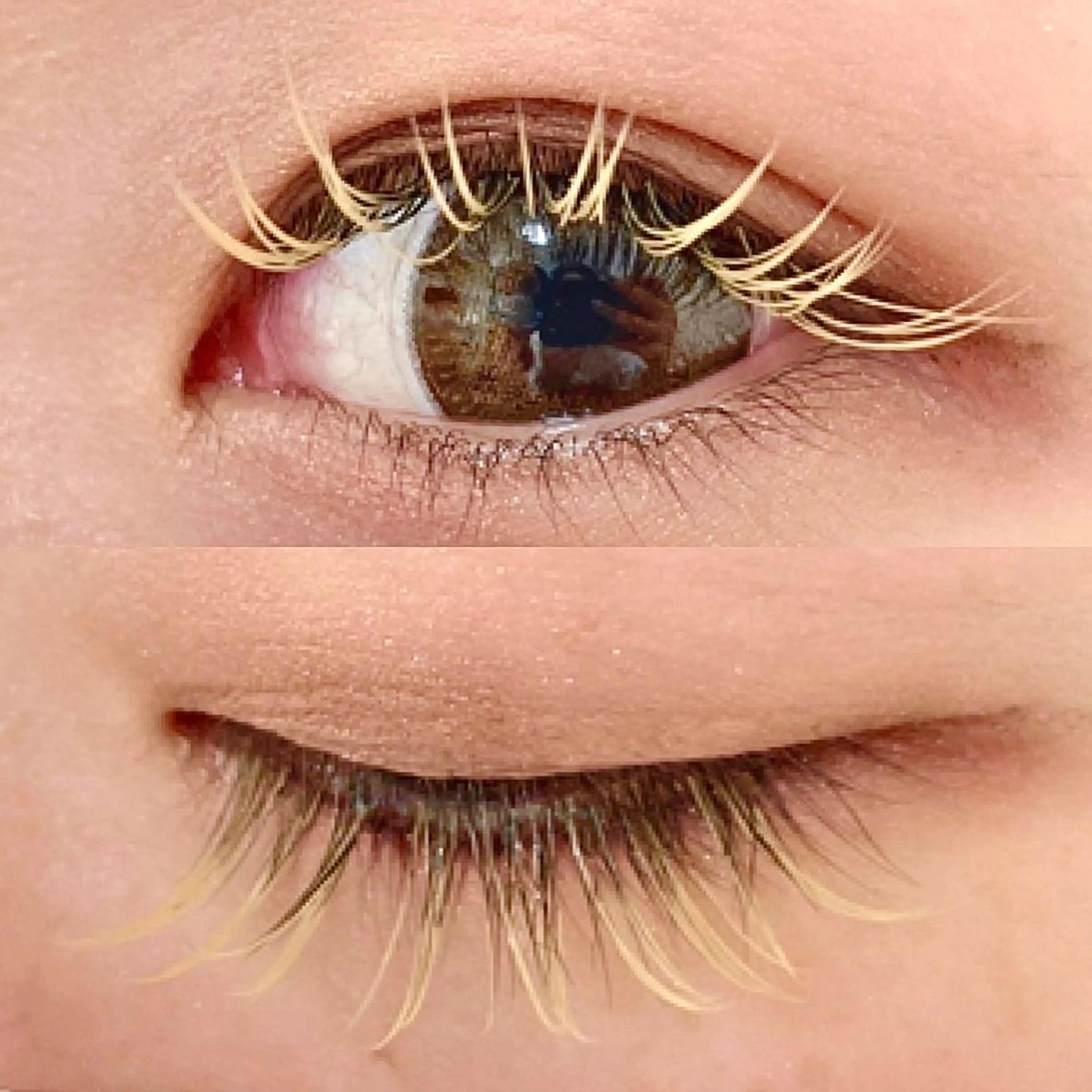 マツエク・マツパ ✧elpatio✧︎ 小出紗羅のマツエク・マツパデザイン