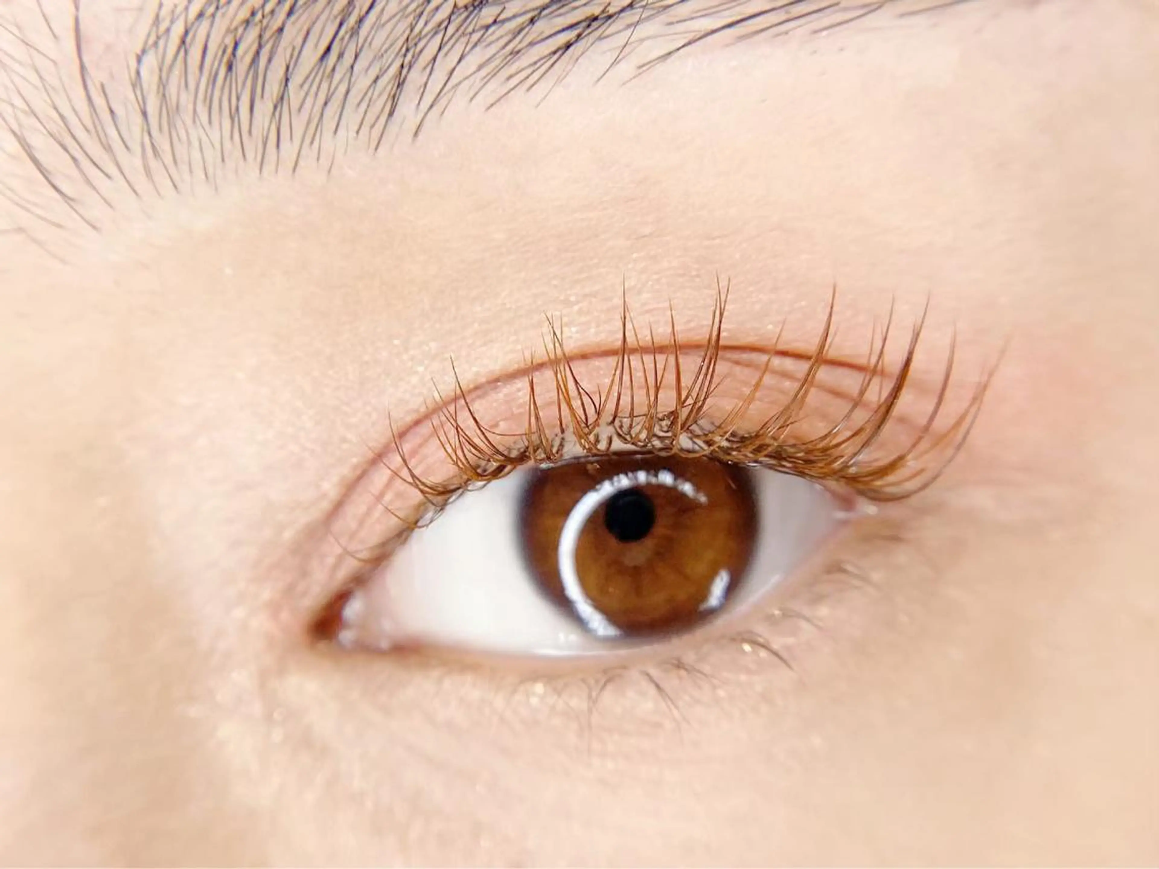 マツエク・マツパ カラーマツエク 【Bloomy.】 竹内のマツエク・マツパデザイン