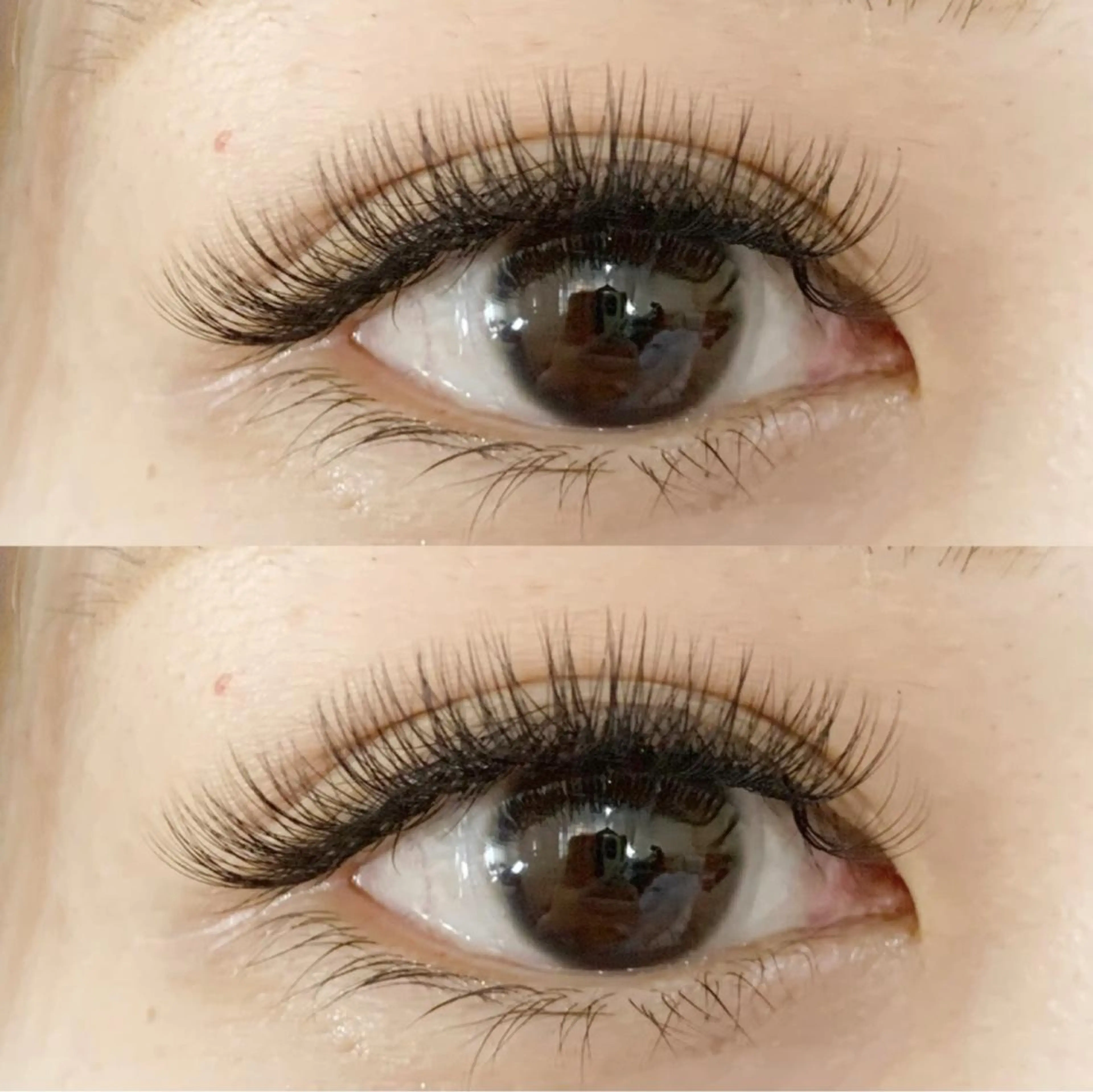 ボリュームラッシュ600本《オフの有無をお知らせください》の写真