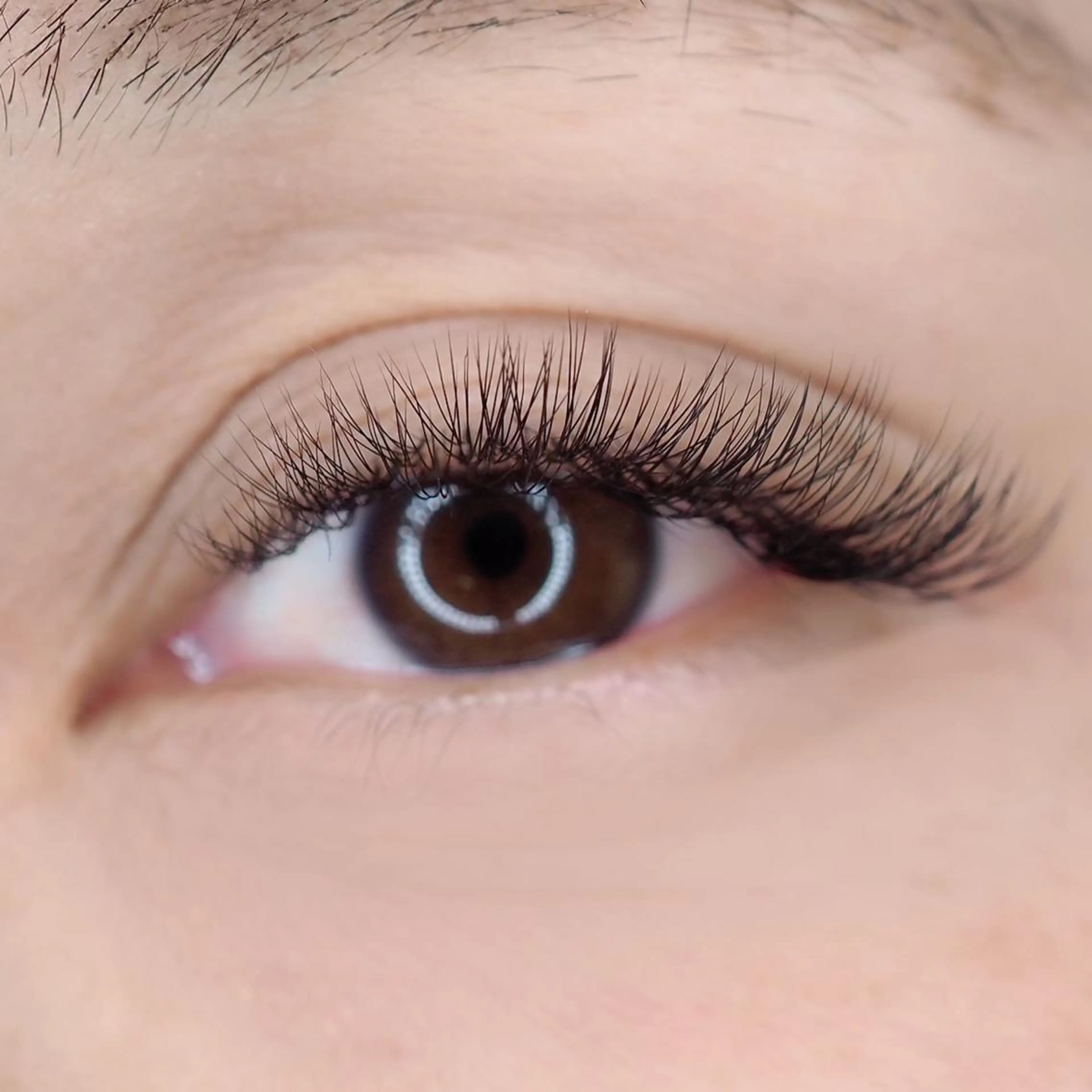 マツエク・マツパ Maile leaf 【マイレリーフ】のマツエク・マツパデザイン