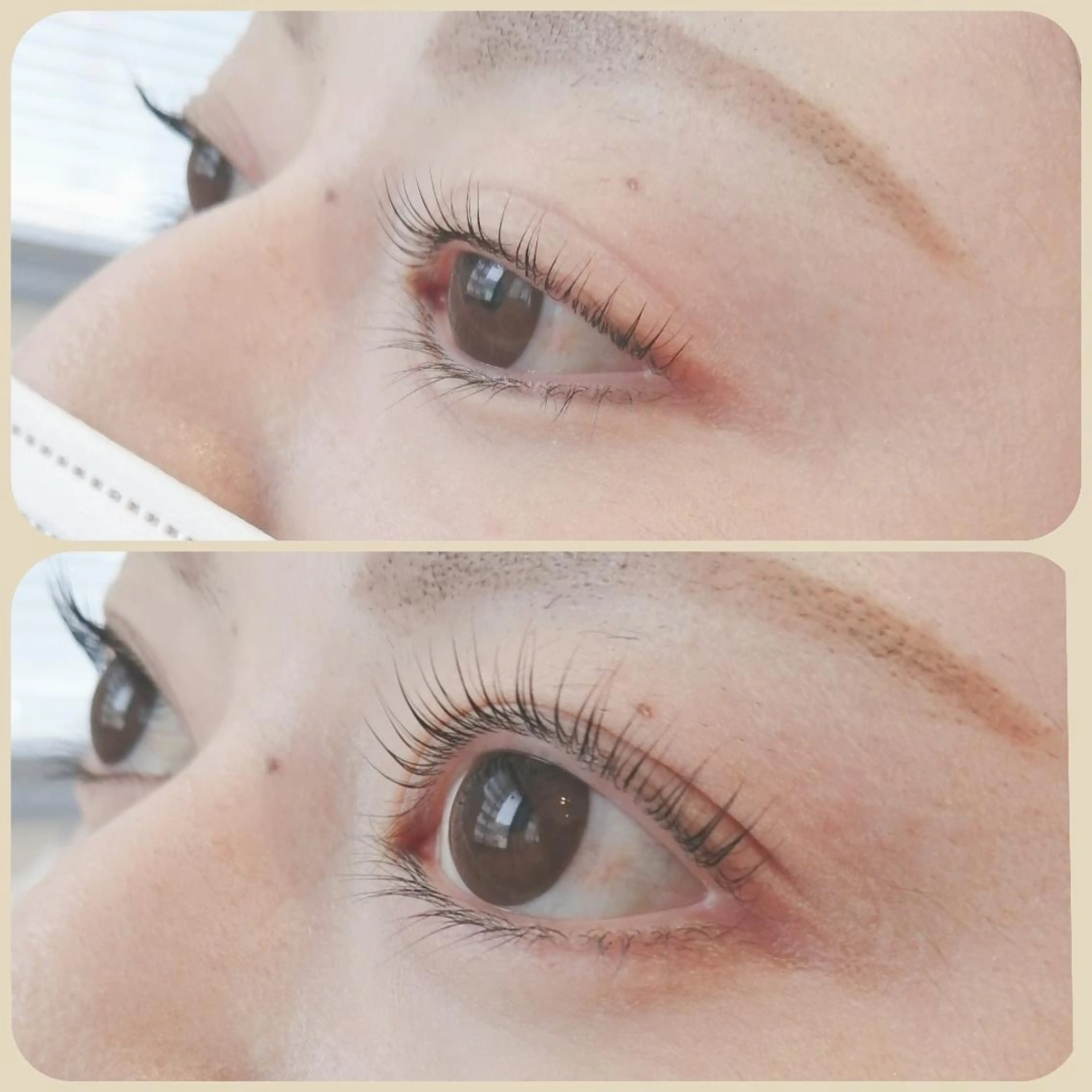 マツエク・マツパ パリジェンヌラッシュリフト Vie  Ange erikaの眉毛・アイブロウイメージ