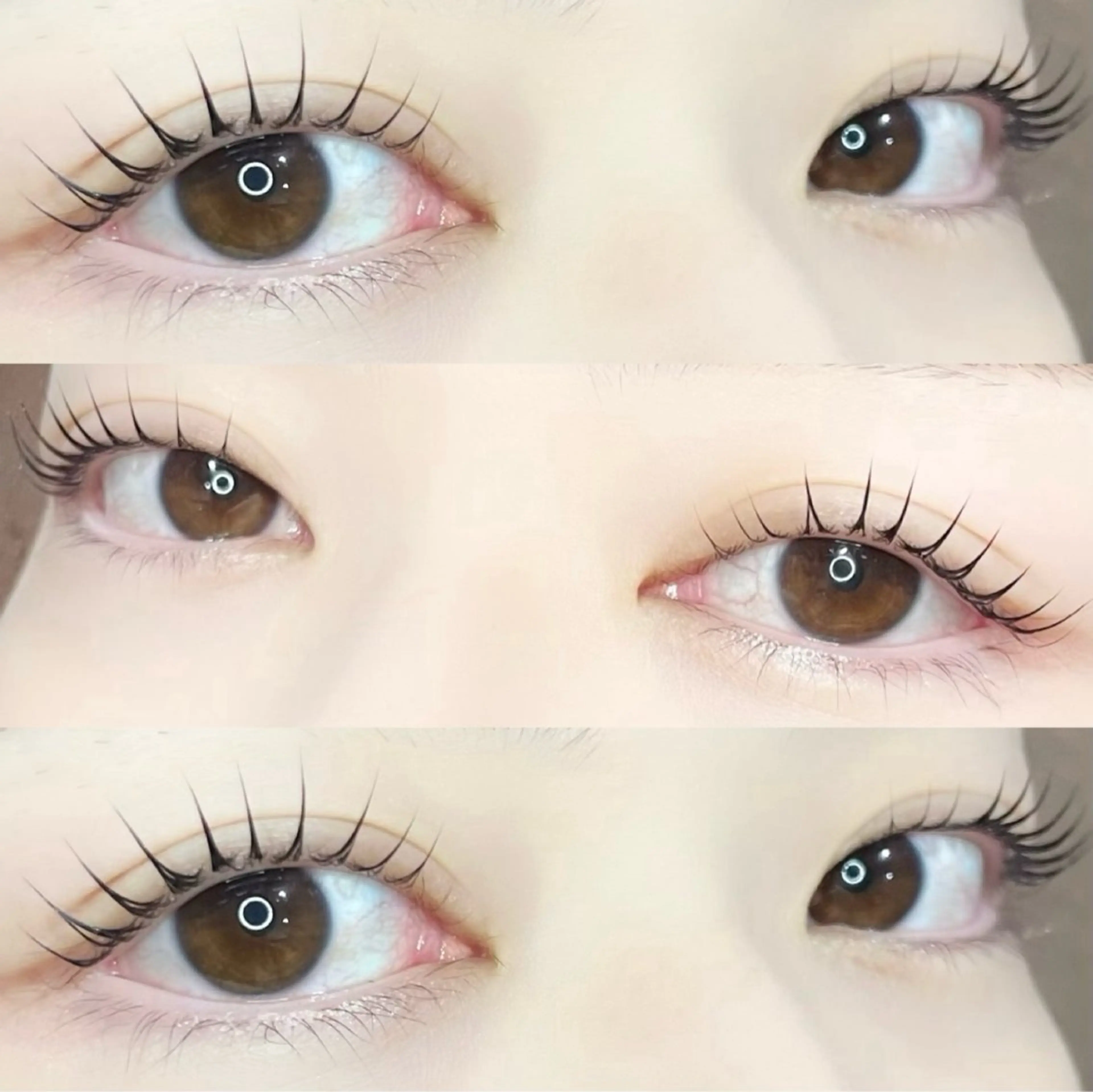 《韓国発🇰🇷》マスカラパーマ風パリジェンヌ×黒染めテイント仕上げ 🇰🇷(ơᴗơ。)の写真