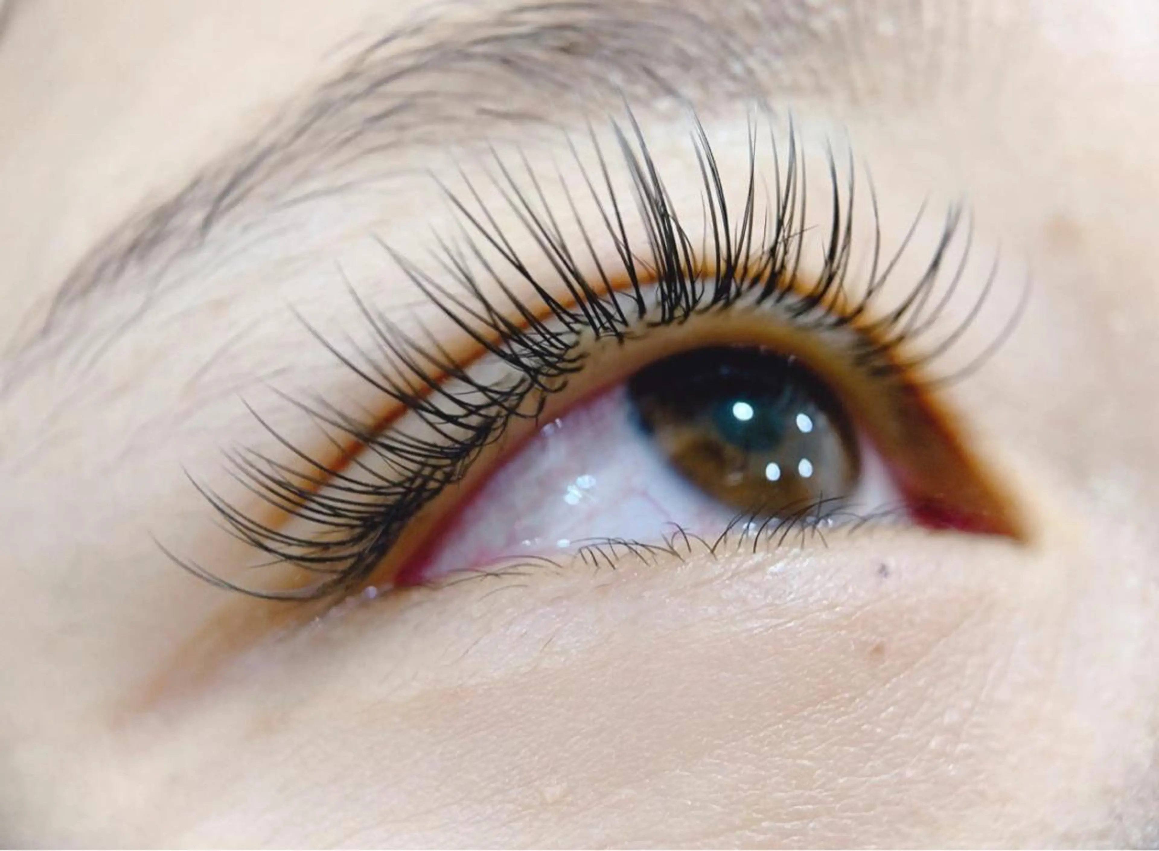 フラッドラッシュリペア60本の写真