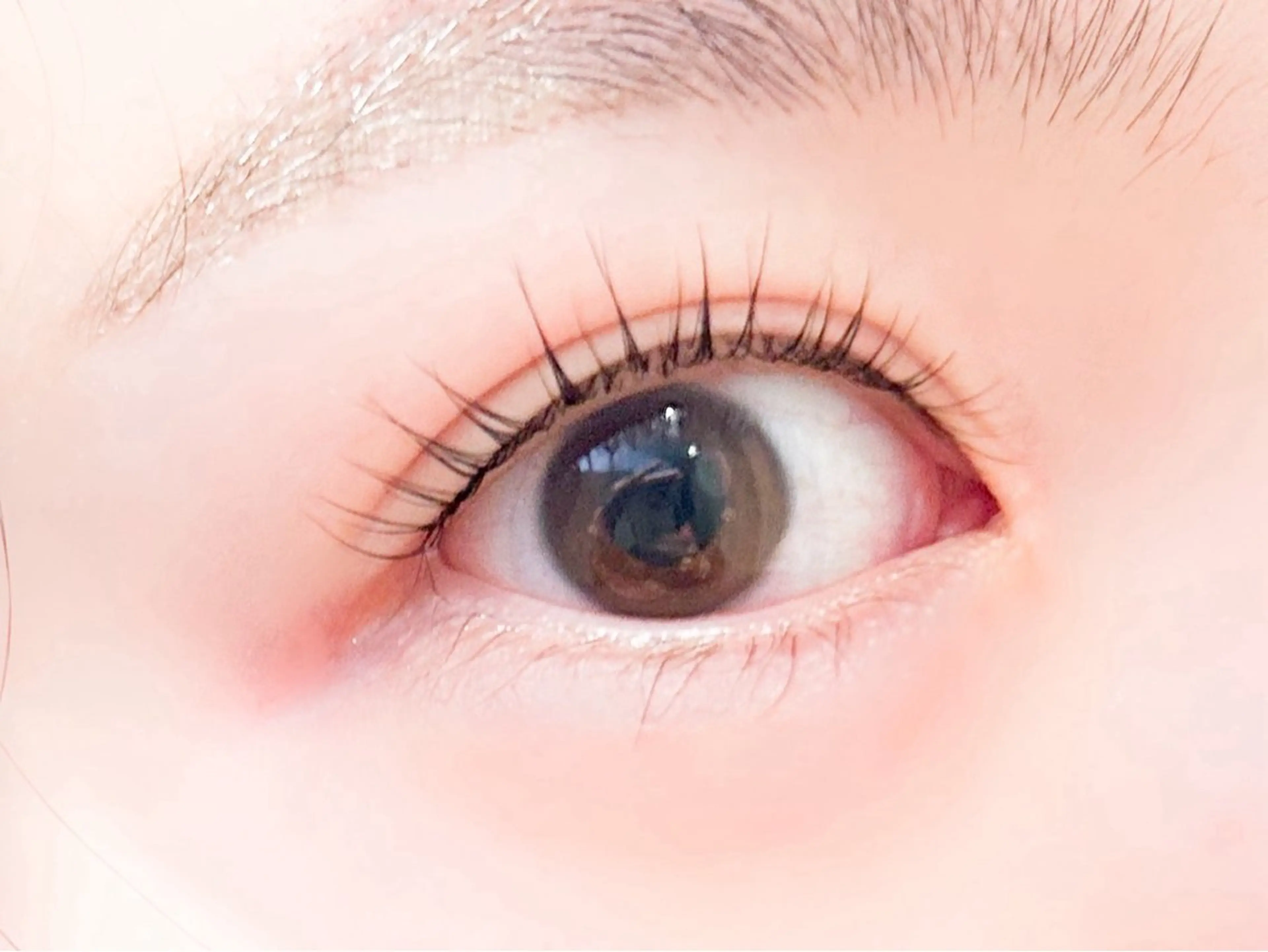 マツエク・マツパ mafola 北島店のマツエク・マツパデザイン