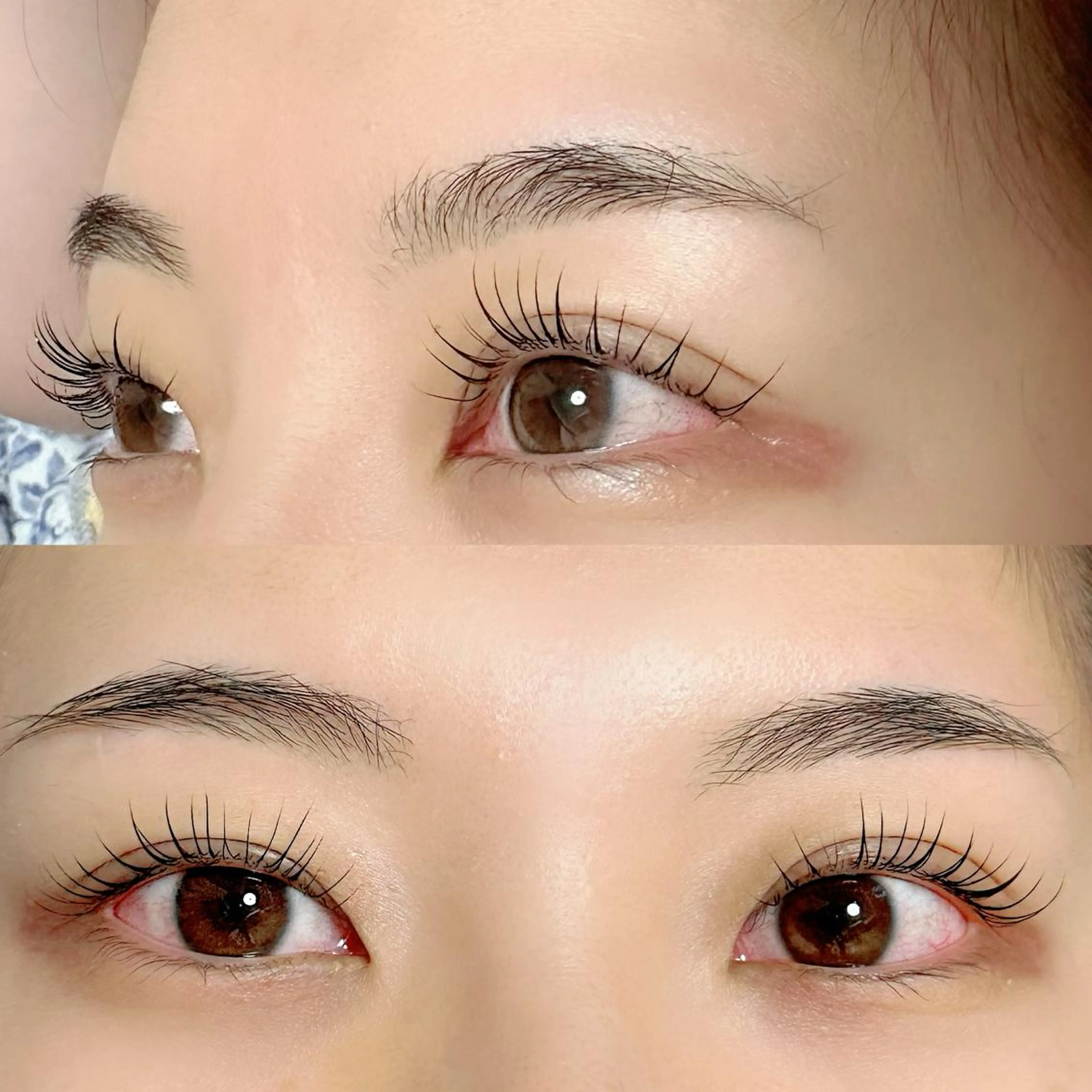 【目元トータルケア👀💞】美眉スタイリング＋まつげパーマの写真