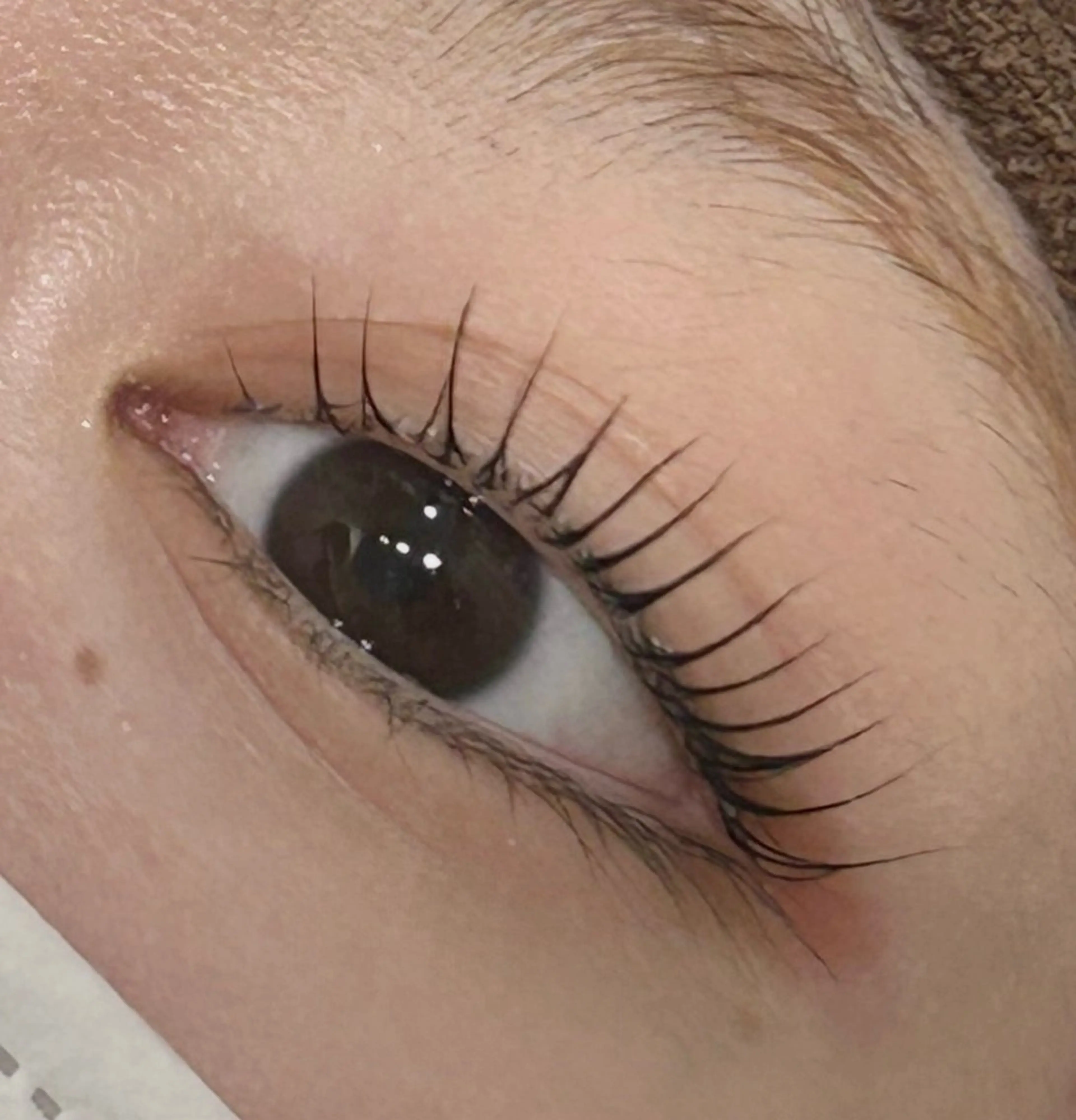 マツエク・マツパ マツパ LULU eye lash meariのマツエク・マツパデザイン