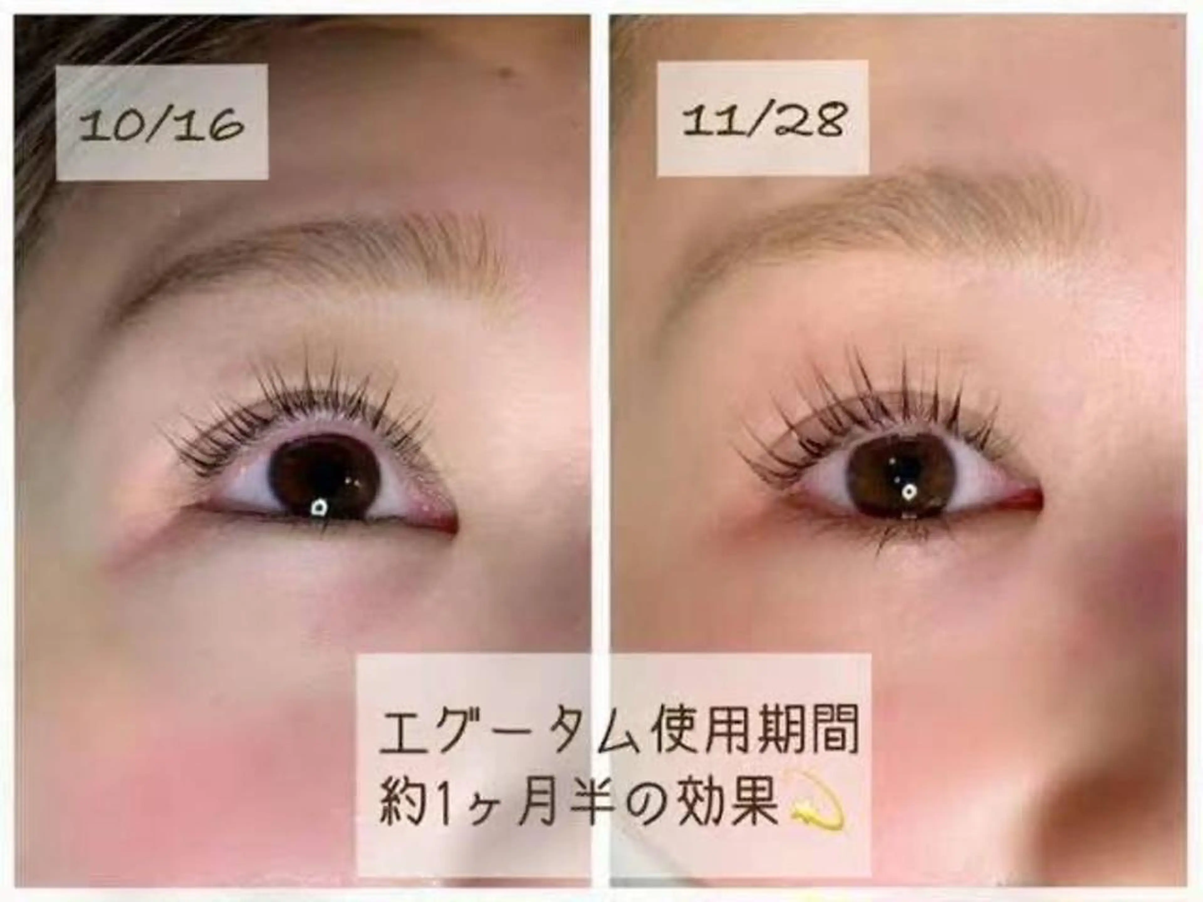 マツエク・マツパ フラットラッシュ マツエク 戸田 縁のマツエク・マツパデザイン