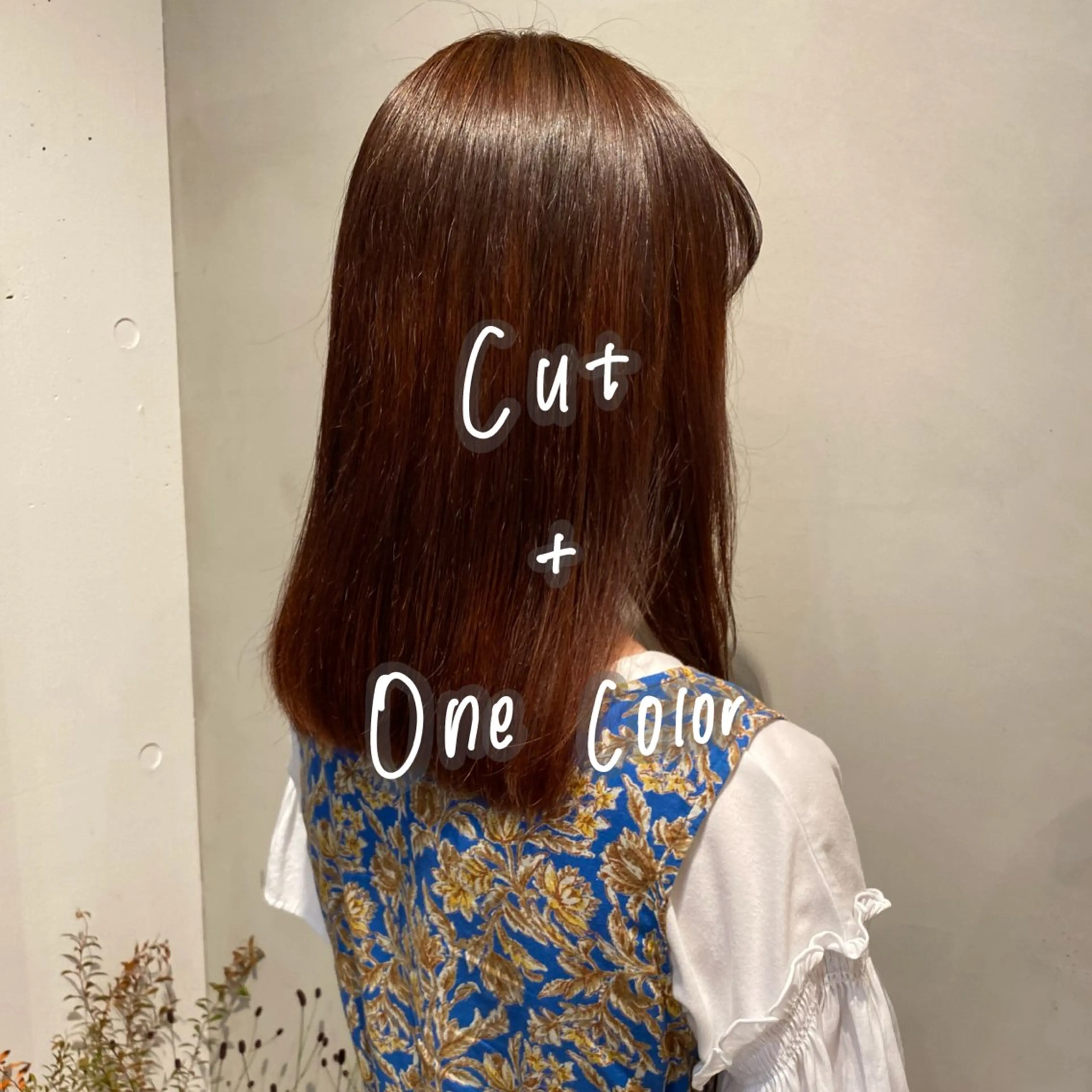 🌿カット+ワンカラー+1stepトリートメント🌿の写真