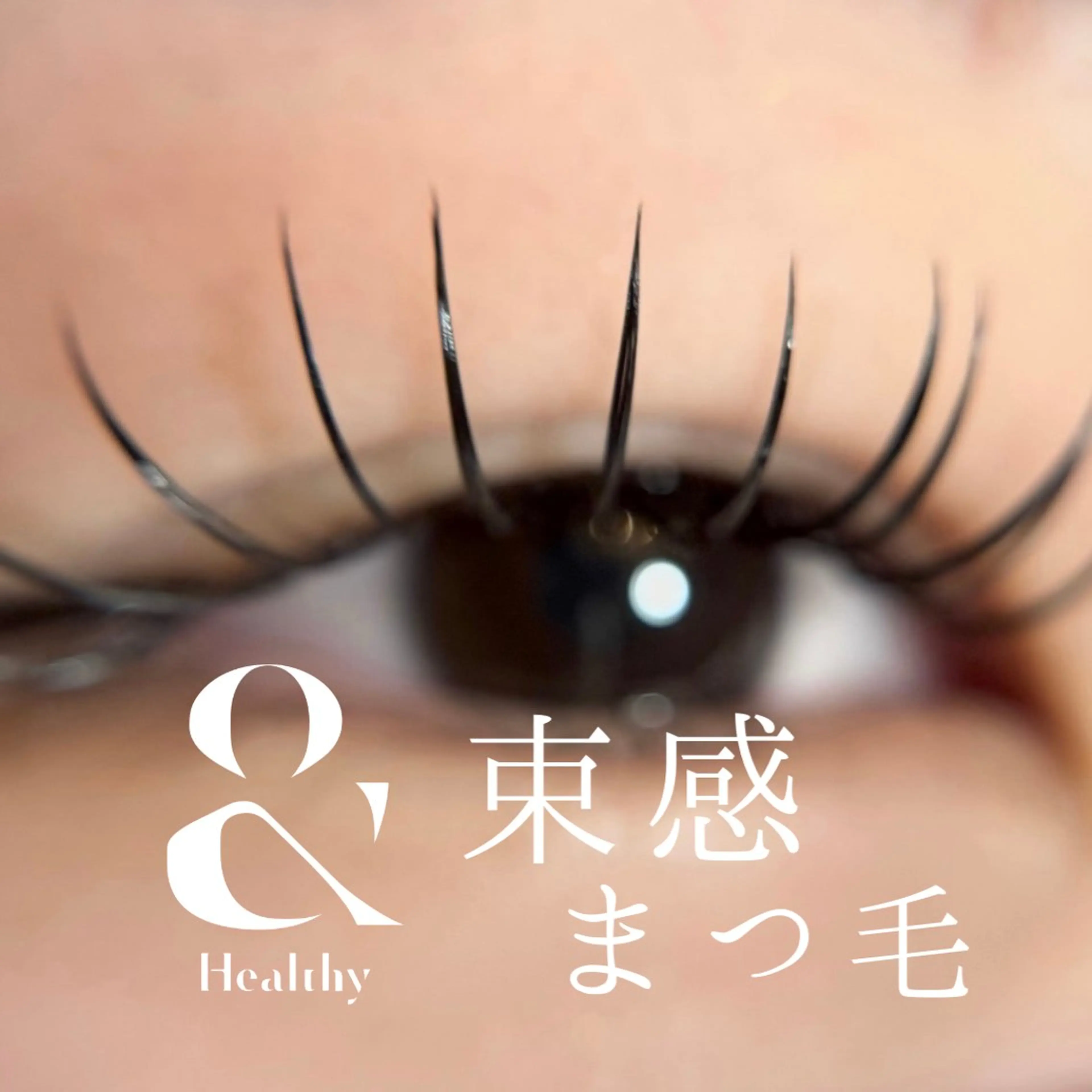 “毛量も、長さも、自由になれる” 【アンドヘルシー】 140本まで　¥12,500→¥11,250の写真