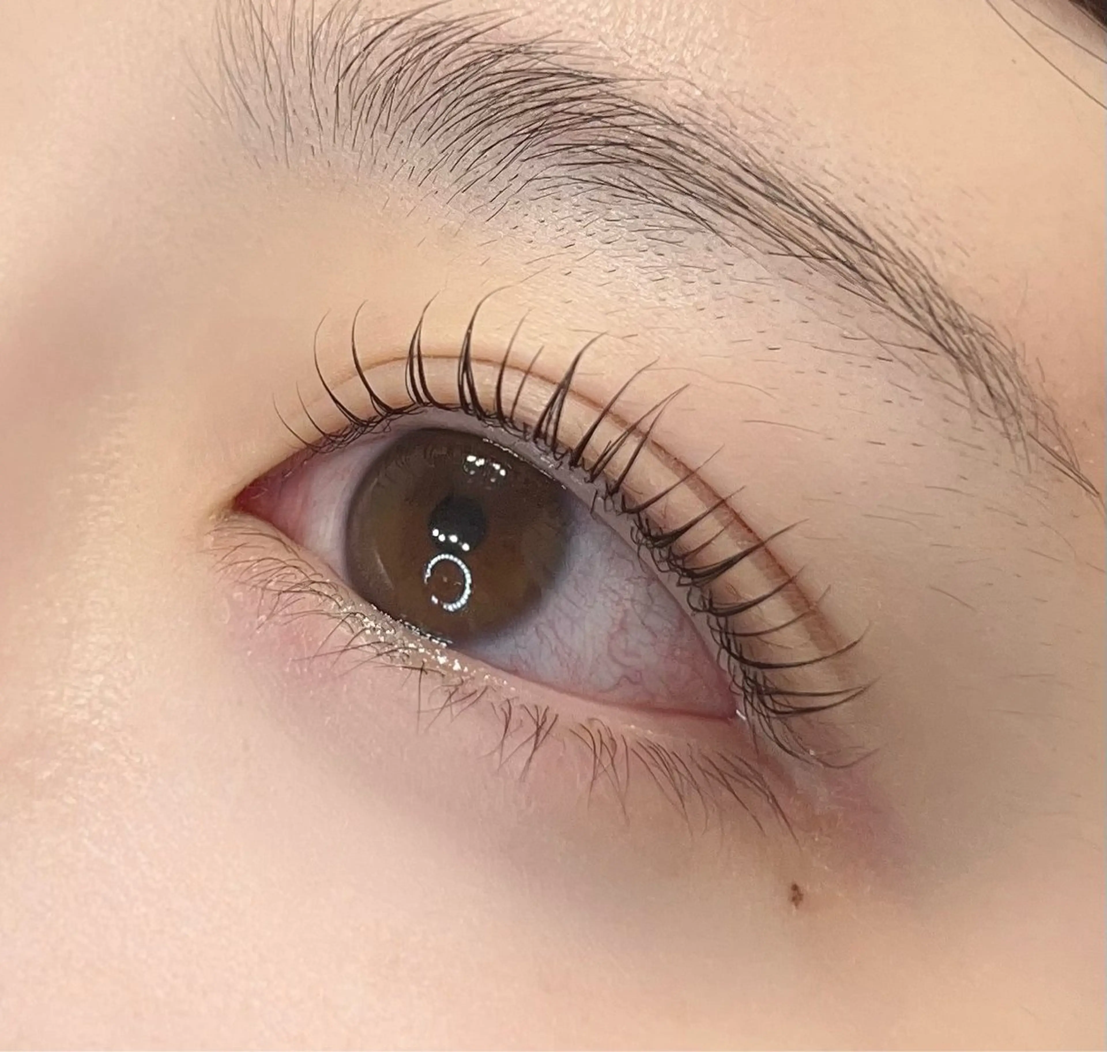 リピーター様限定🪽１ヶ月以内のご来店限定♪まつげパーマ　￥5000の写真