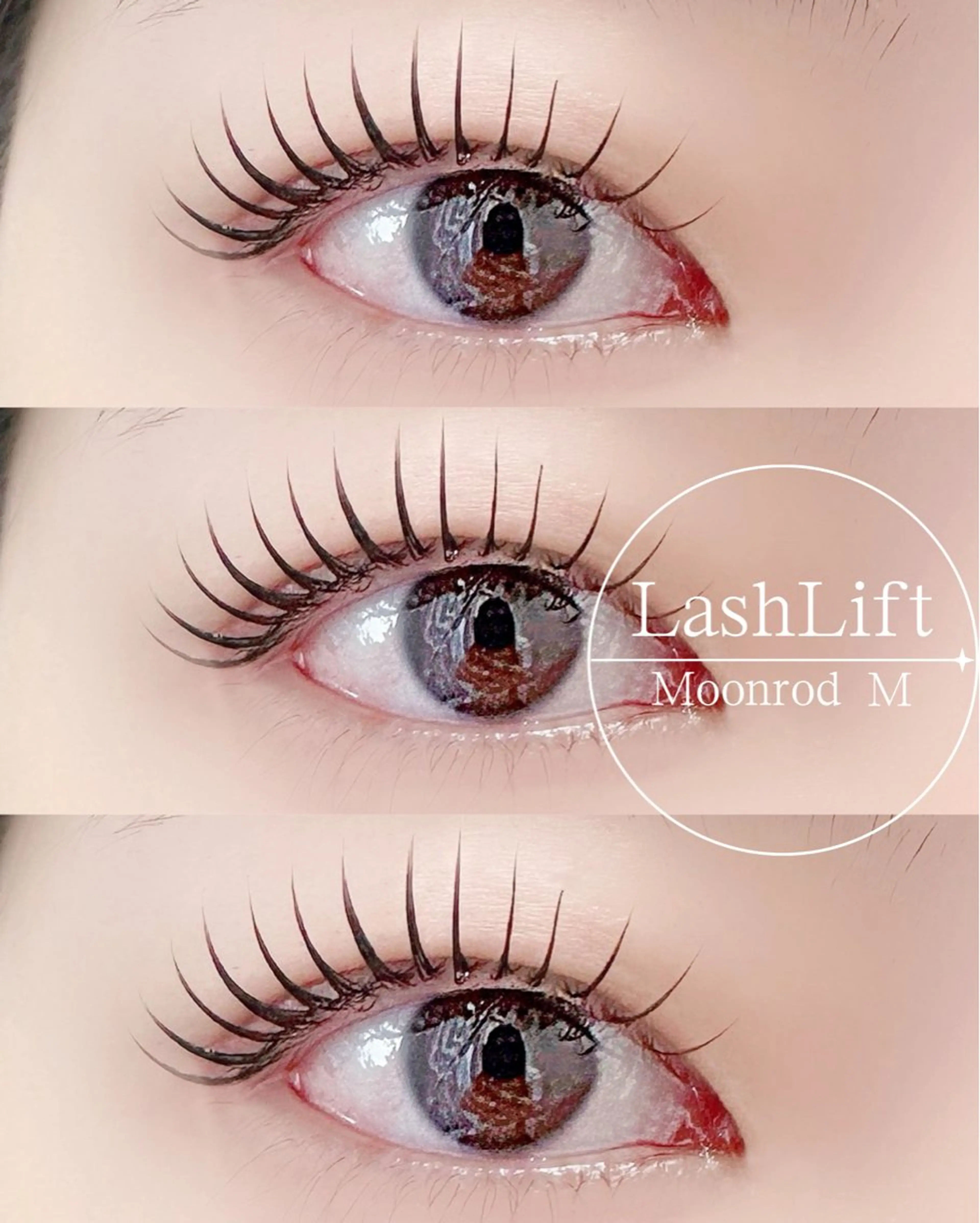 当日限定まつ毛パーマ✨まつ毛カールorラッシュリフト⭐️パリジェンヌに似たデザインもコーティング付きの写真