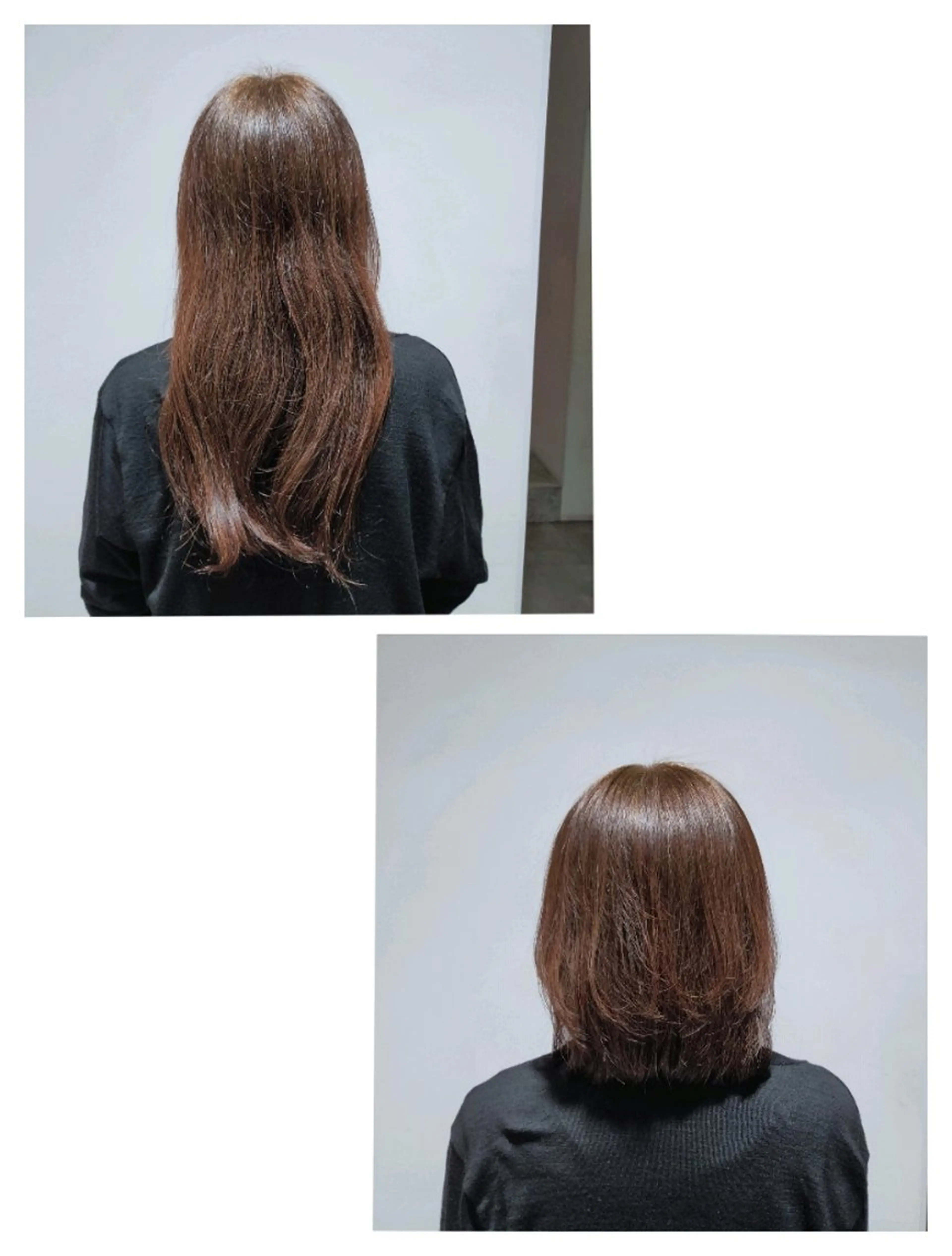 ミディアム 和佐 ももえのヘアスタイル