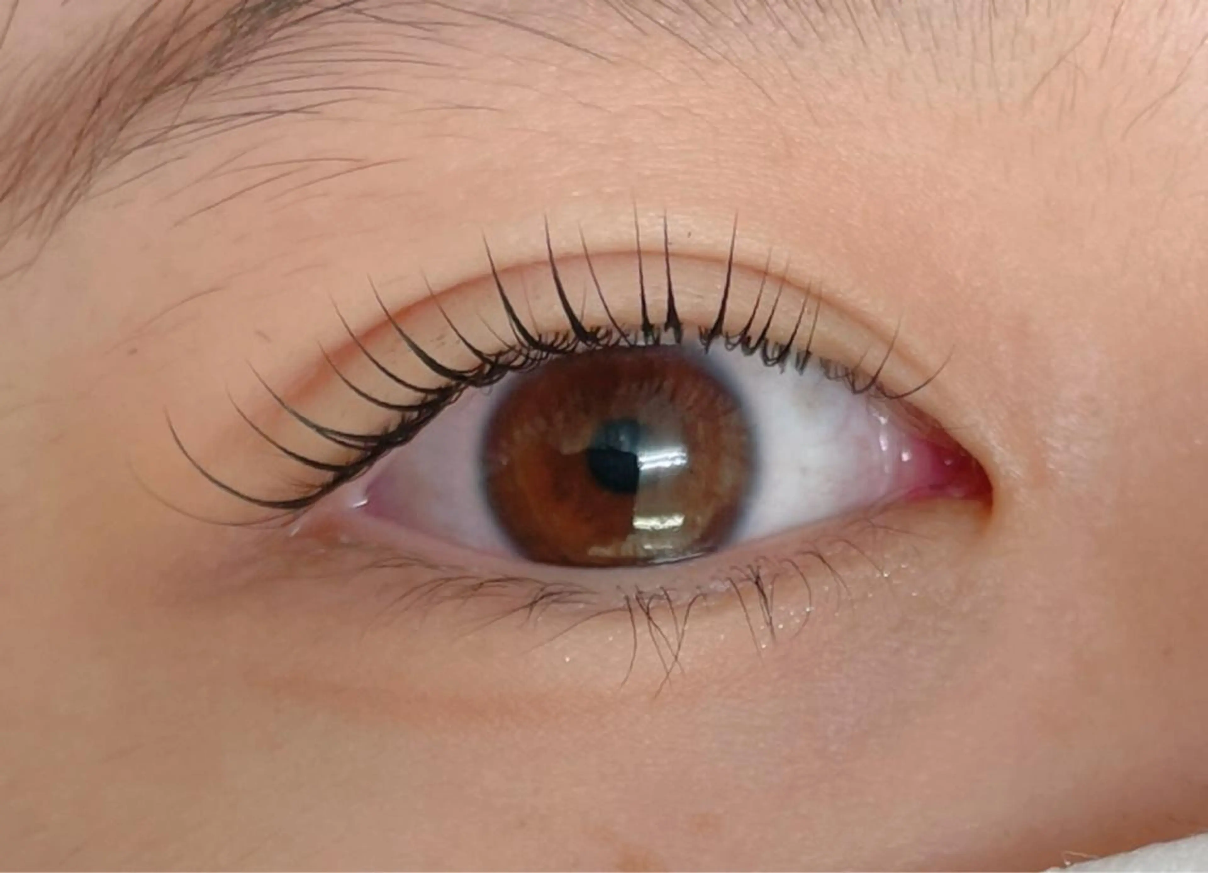 マツエク・マツパ Pearl eye池袋店のマツエク・マツパデザイン