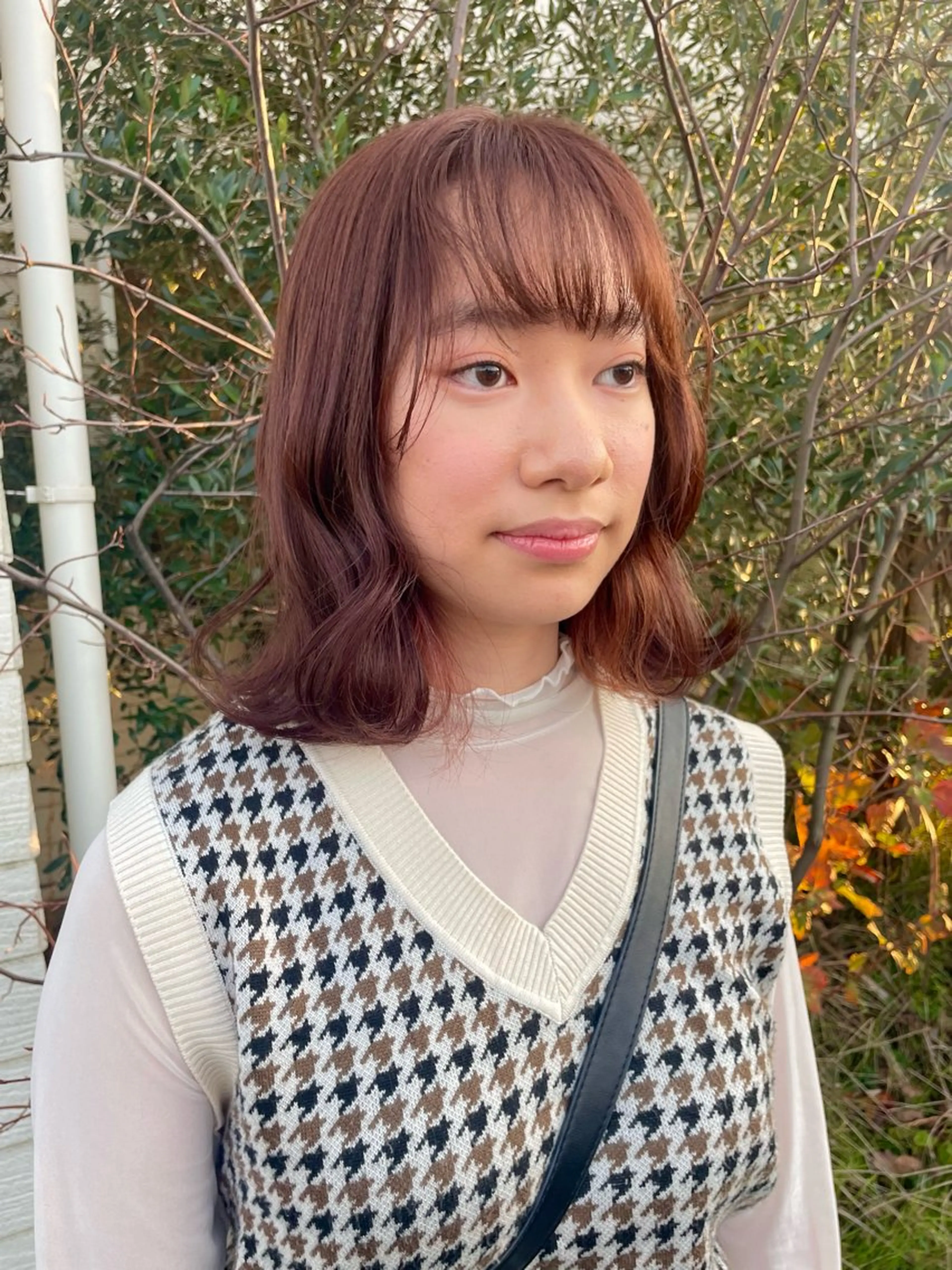 レディースカットの写真