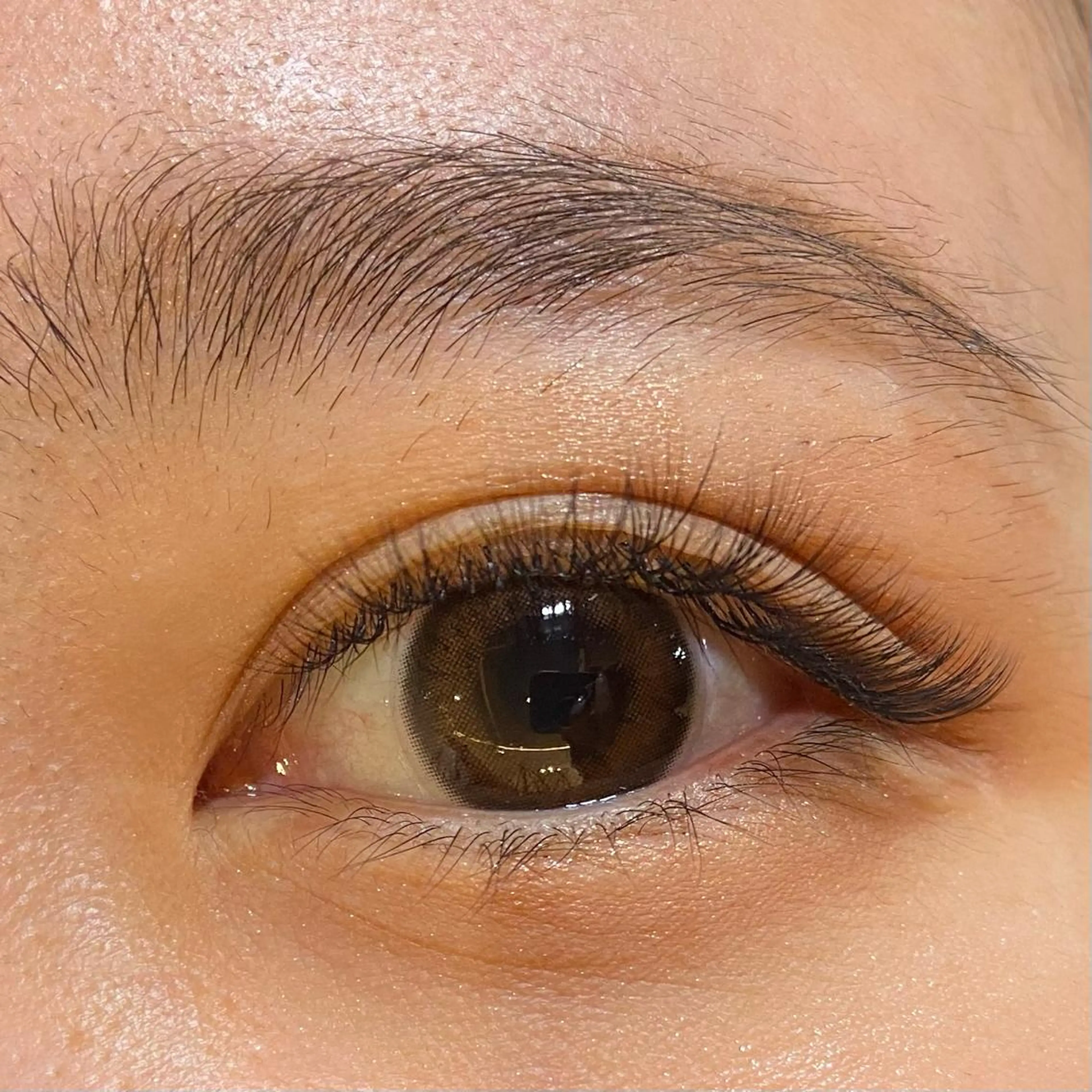 ボリュームラッシュ500​〜​600本の写真