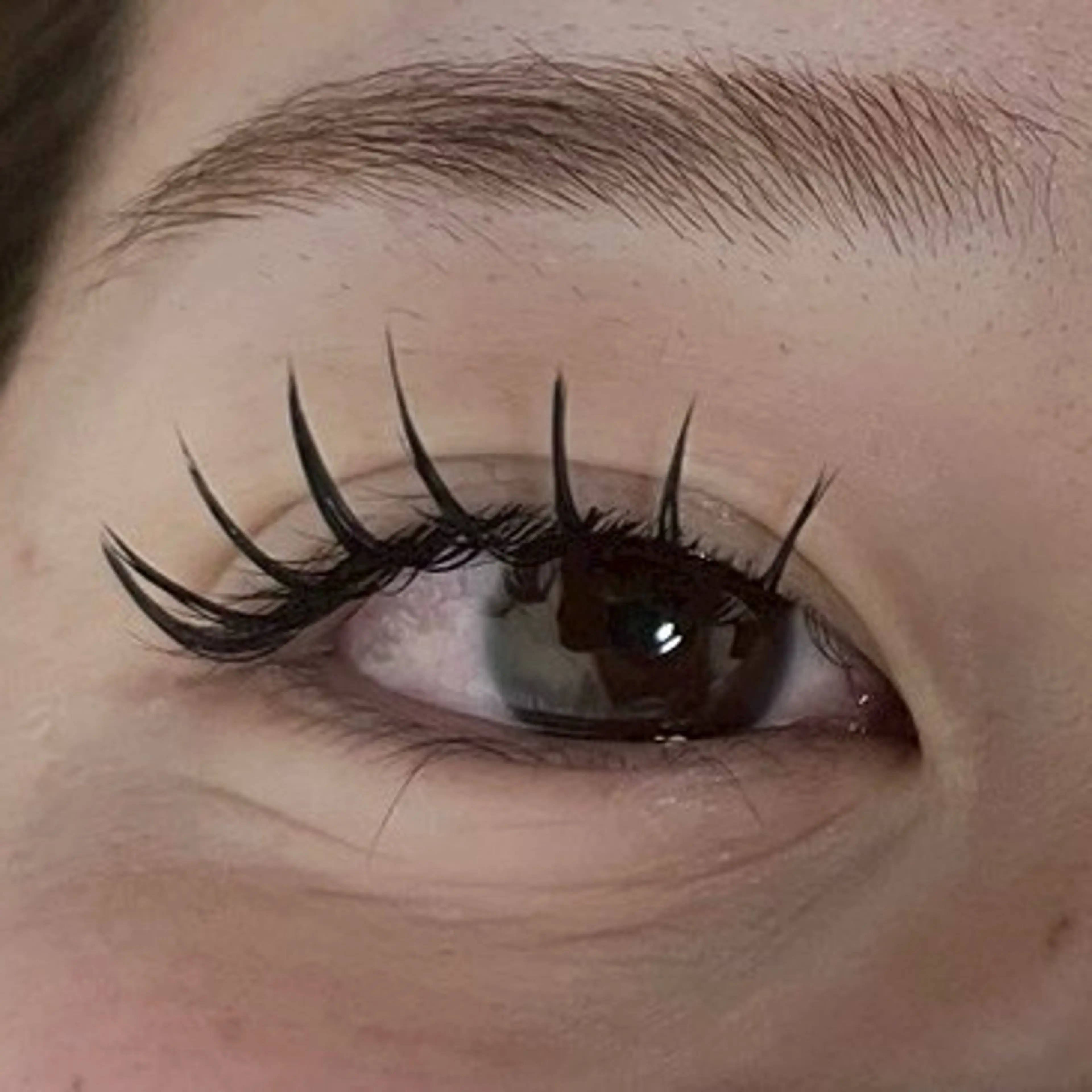 【★期間限定　モデル価格★!】　フラットラッシュ　　100本の写真