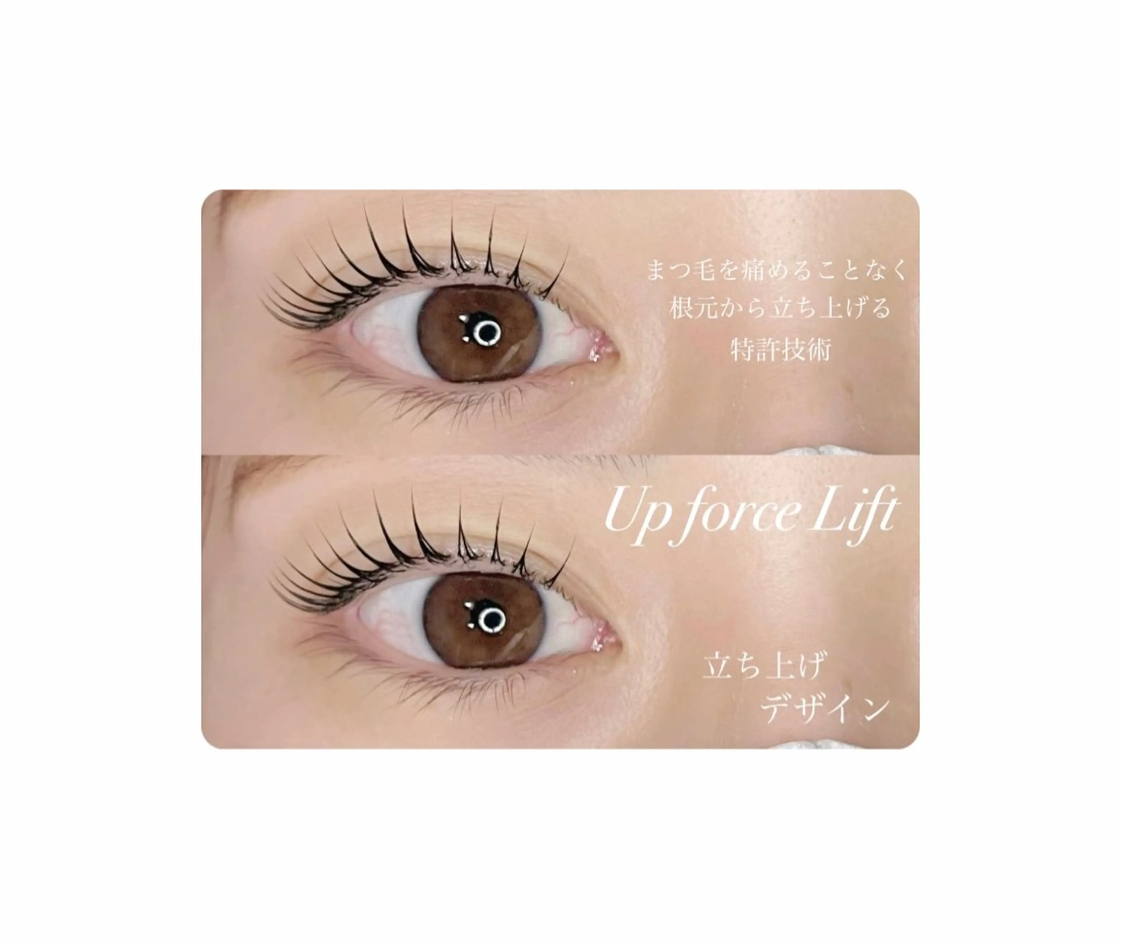 マツエク・マツパ 🤍下村 絢香🤍のマツエク・マツパデザイン