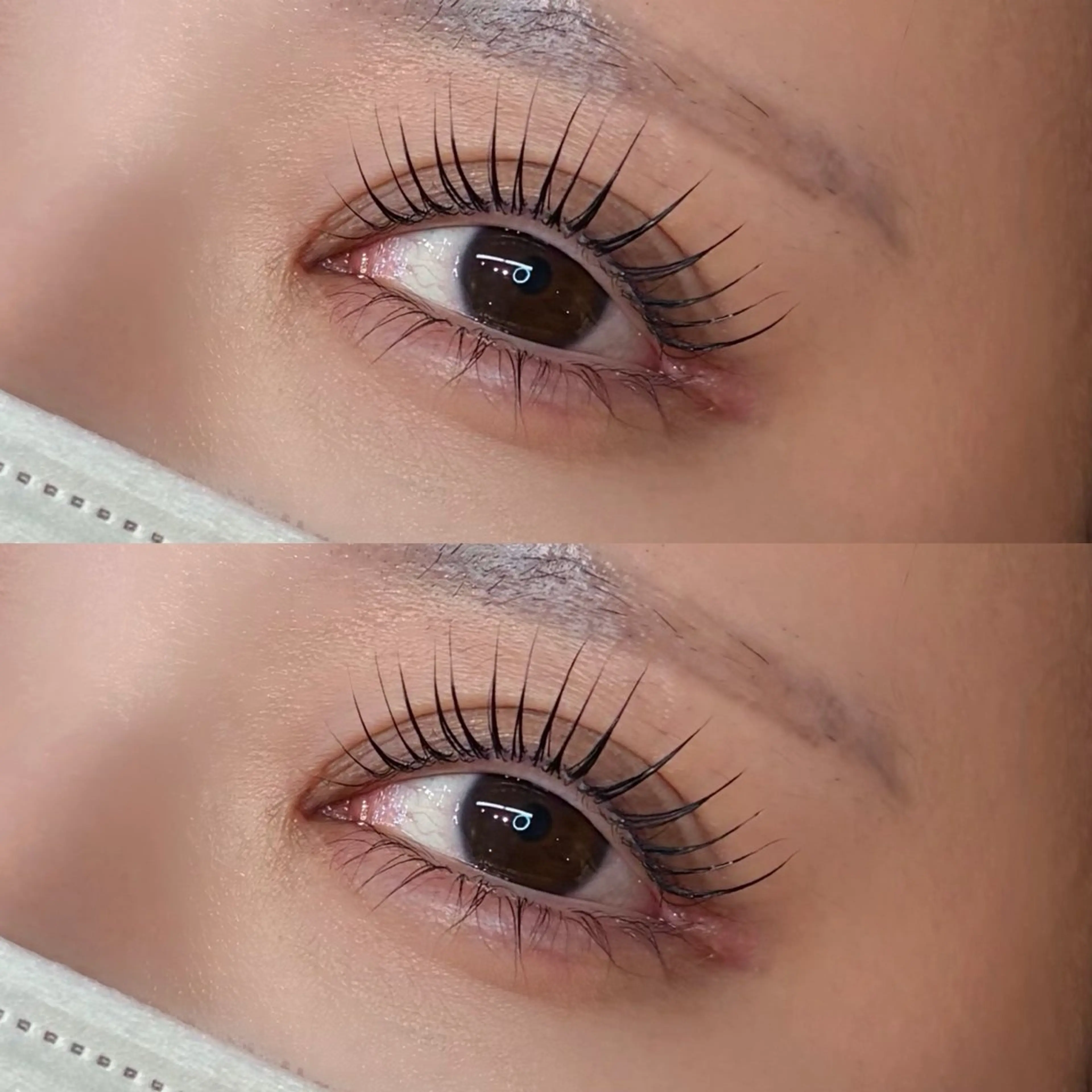 【4/22.24限定✨️】韓国風束感♡マスカラパーマ🇰🇷👀コーティング仕上げ付の写真