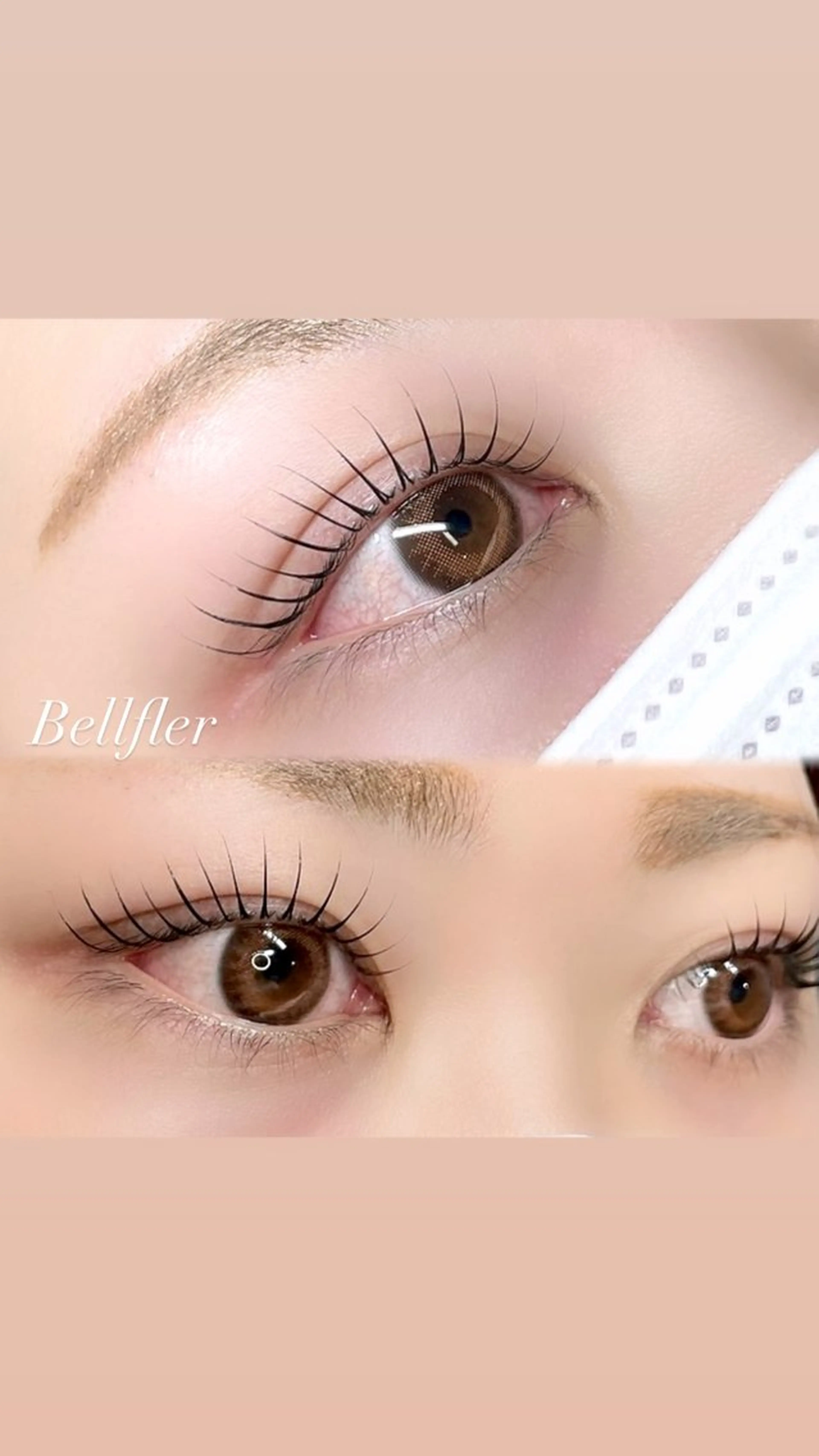 パーマ マツパ ベルフルールvip ひななのマツエク・マツパデザイン