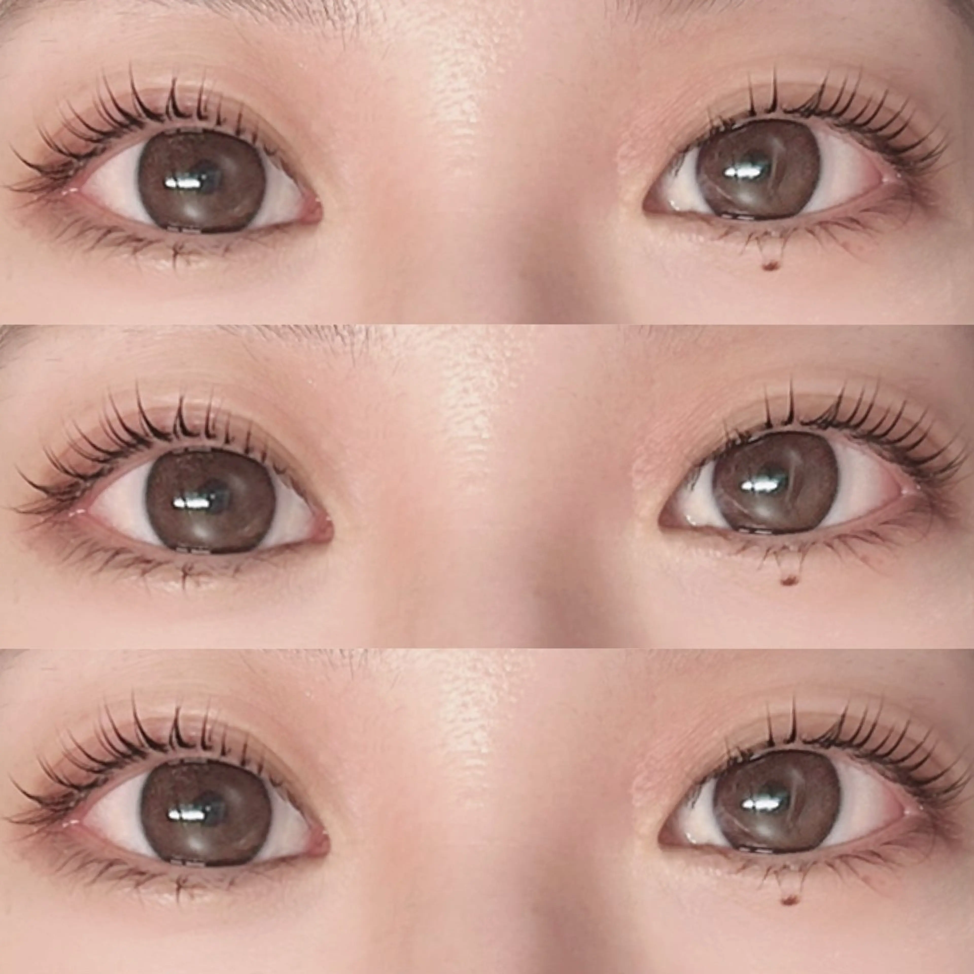 まつげパーマ+高級コーティング剤🍀🍀の写真